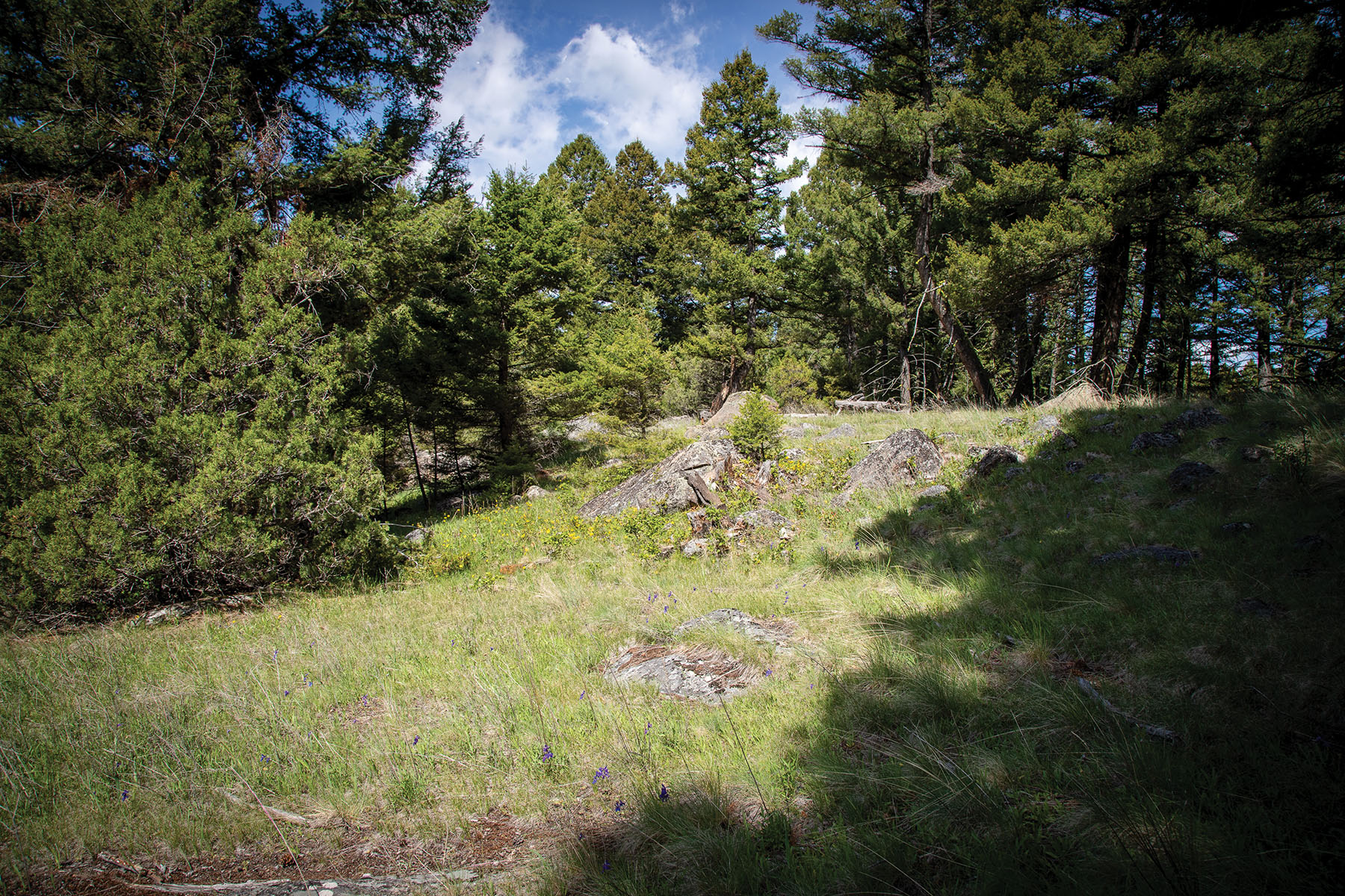 Discovery View #29 property picture 4 of 8