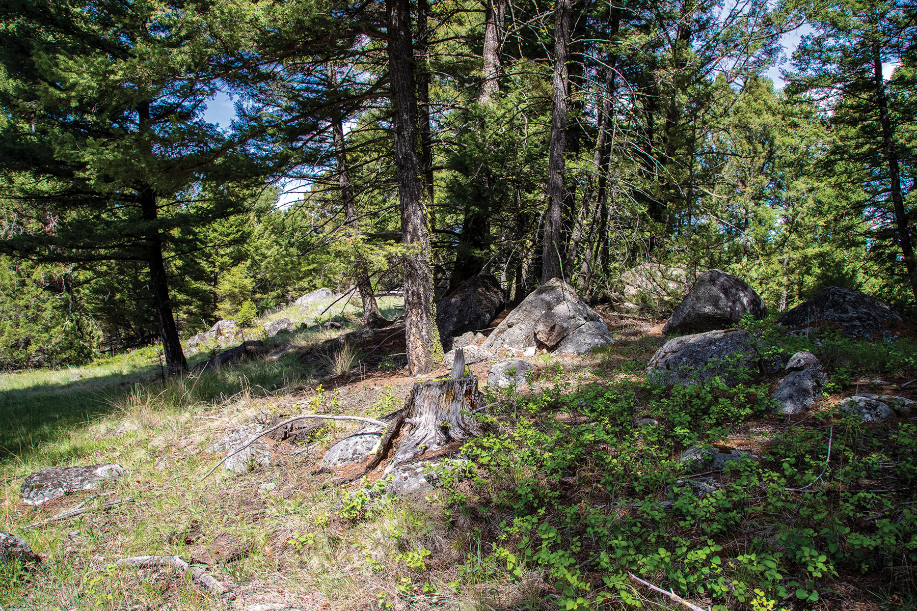 Discovery View #29 property picture 3 of 8