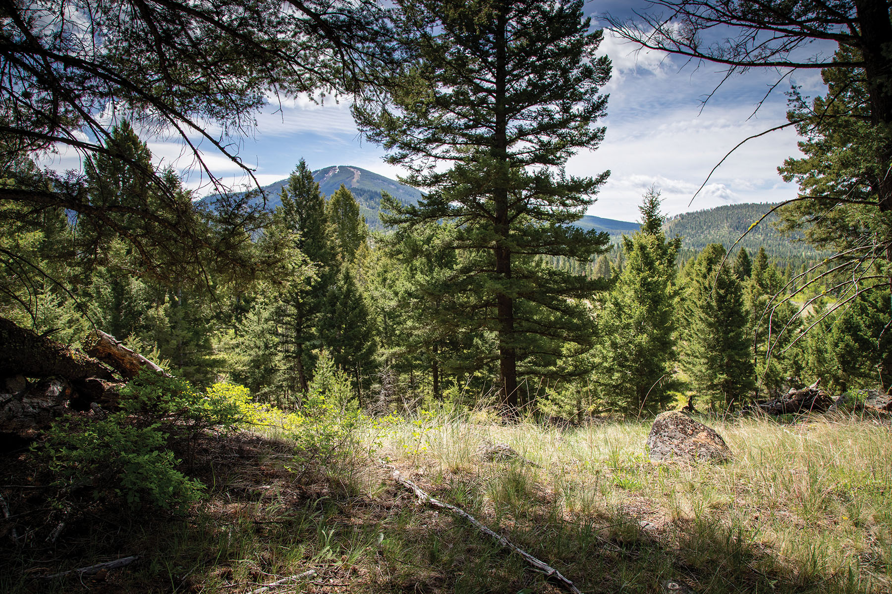 Discovery View #29 property picture 2 of 8