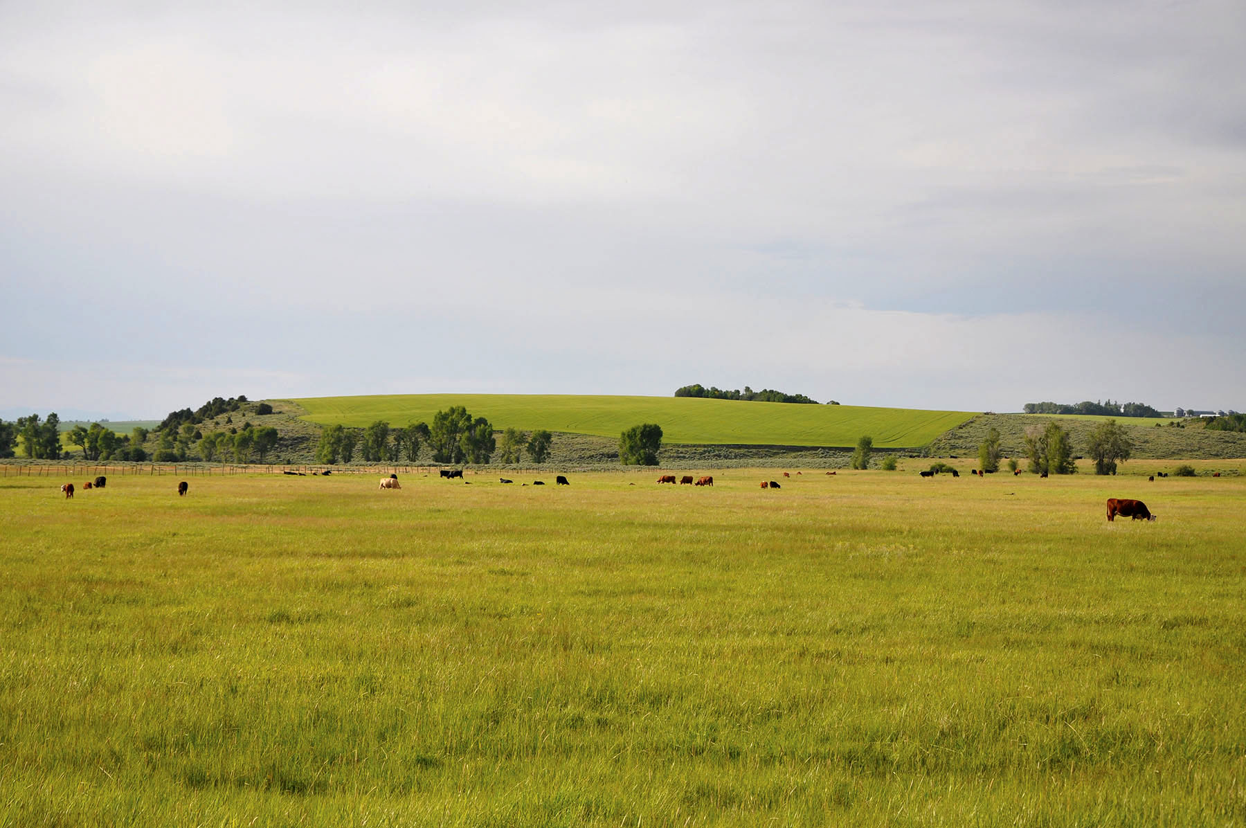 Teton Vistas Ranch property picture 14 of 23