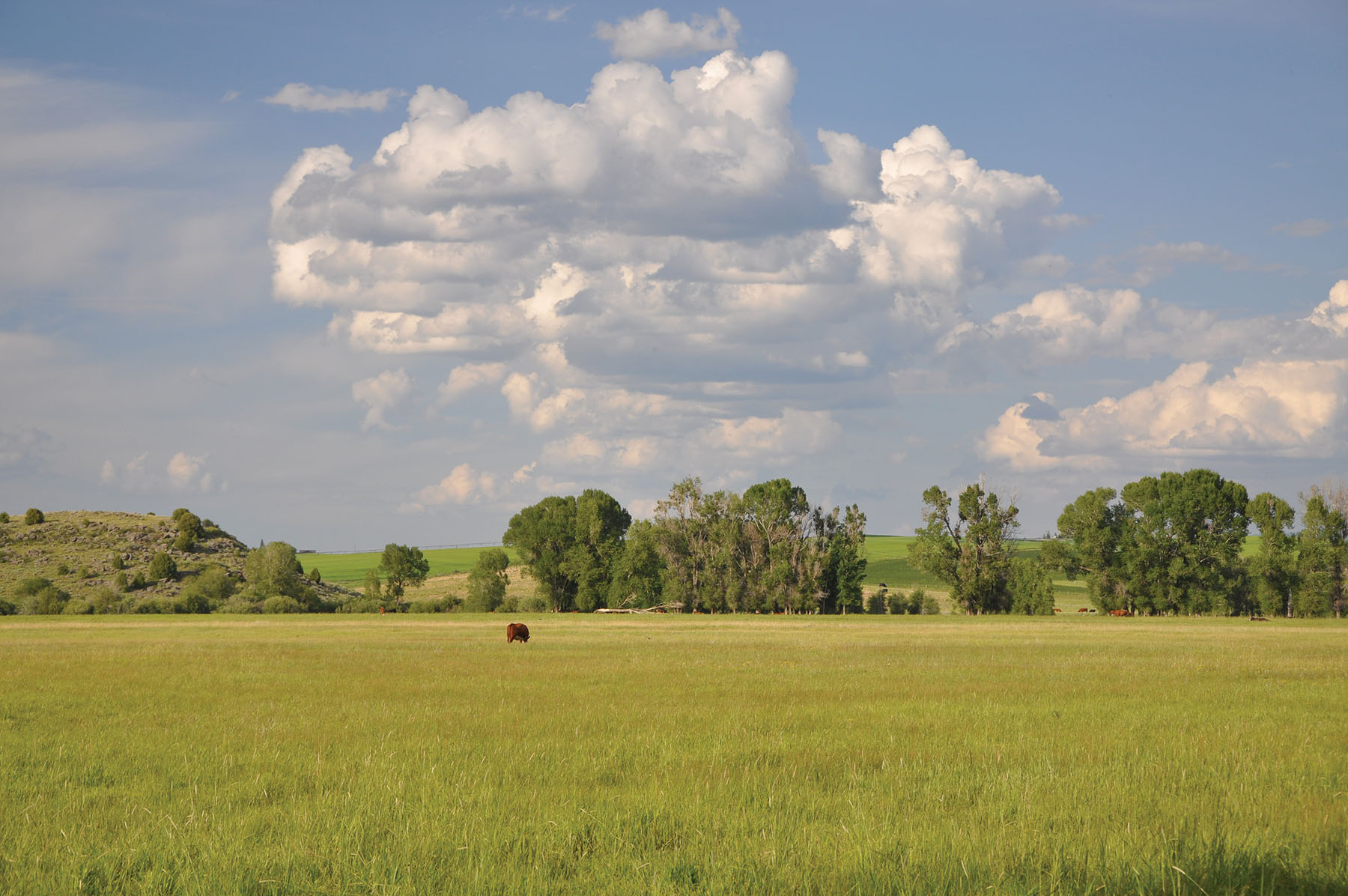 Teton Vistas Ranch property picture 11 of 23
