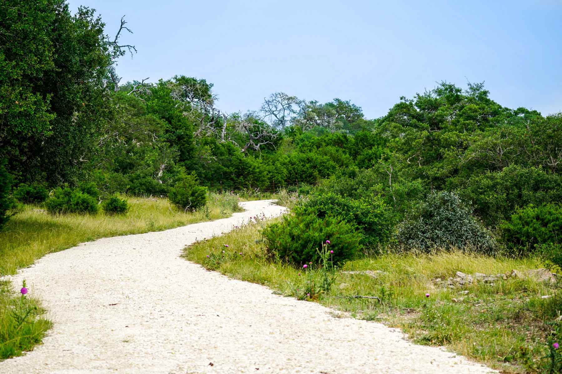 Overlook Ranch property picture 4 of 33
