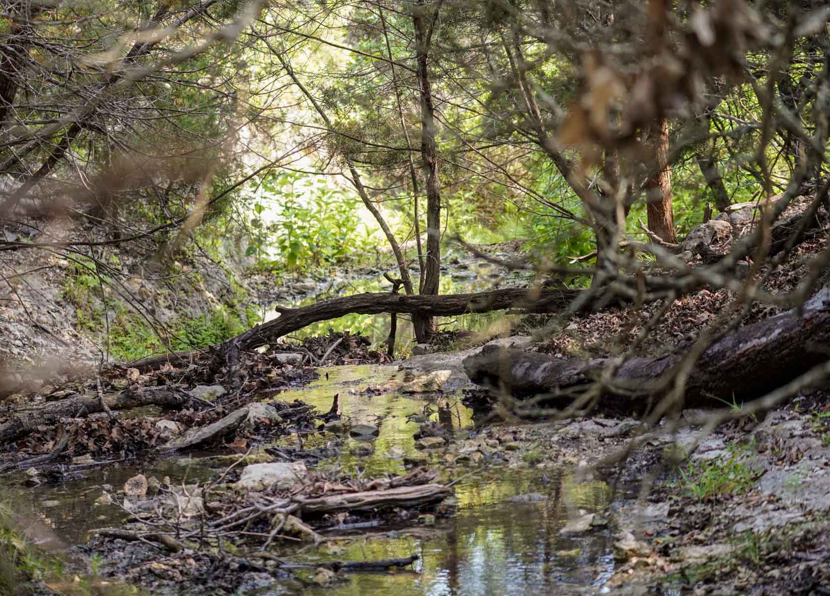 Overlook Ranch property picture 13 of 33