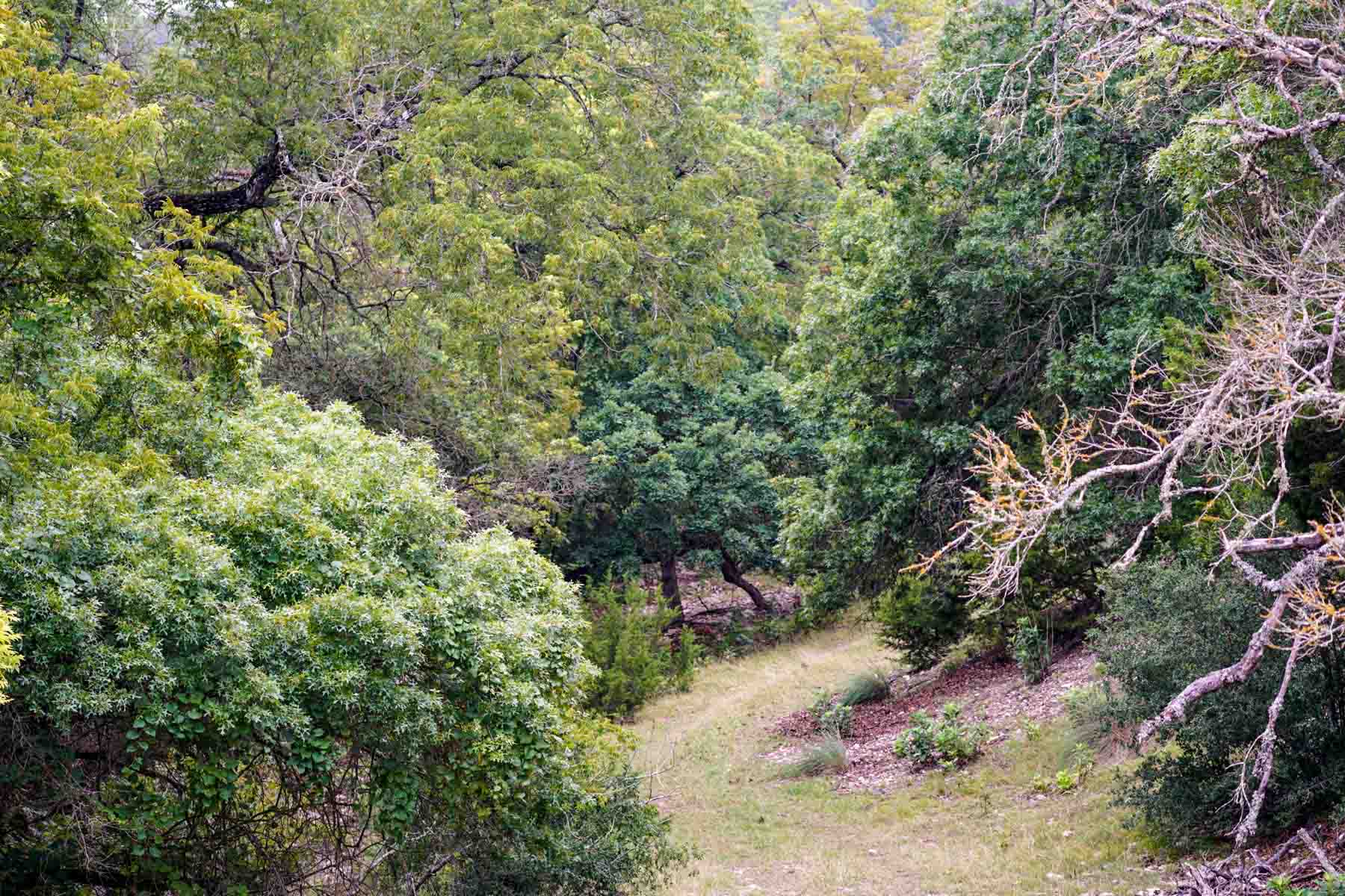Overlook Ranch property picture 29 of 33