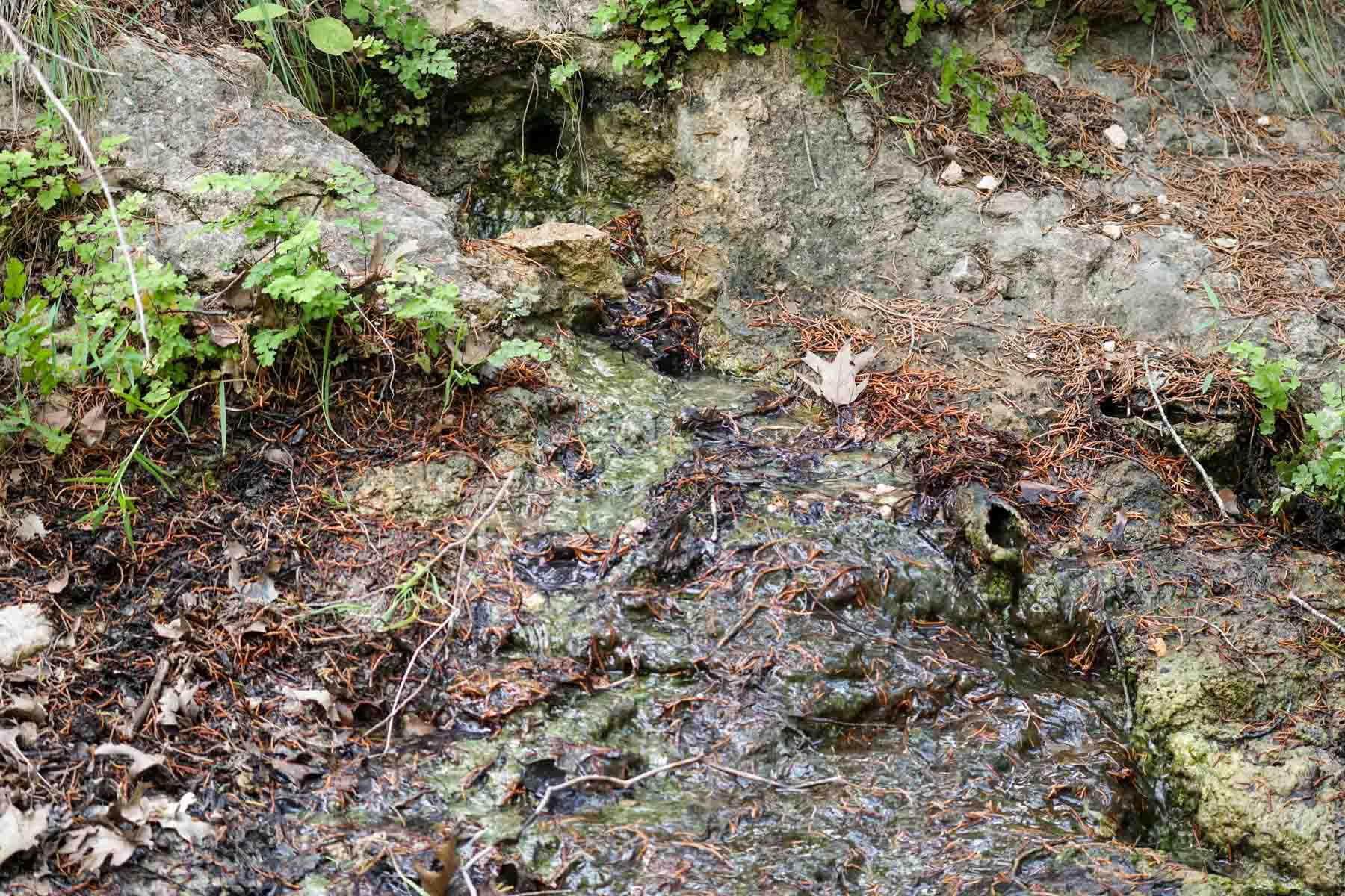 Overlook Ranch property picture 16 of 33