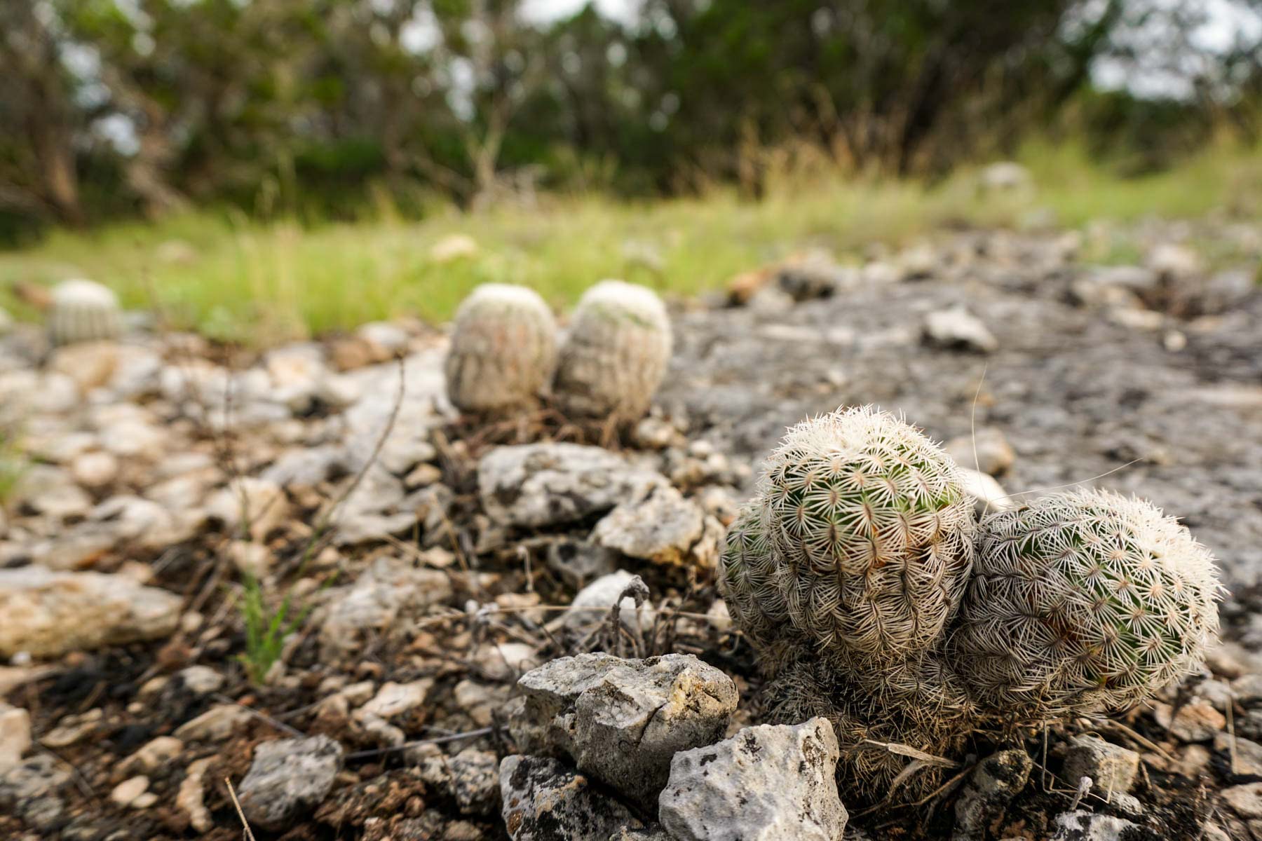 Overlook Ranch property picture 24 of 33