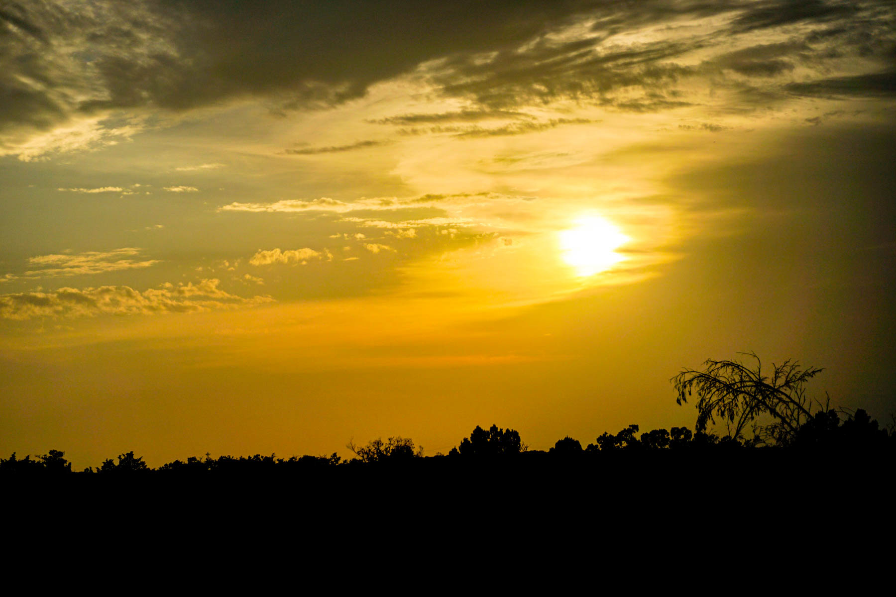 Overlook Ranch property picture 6 of 33