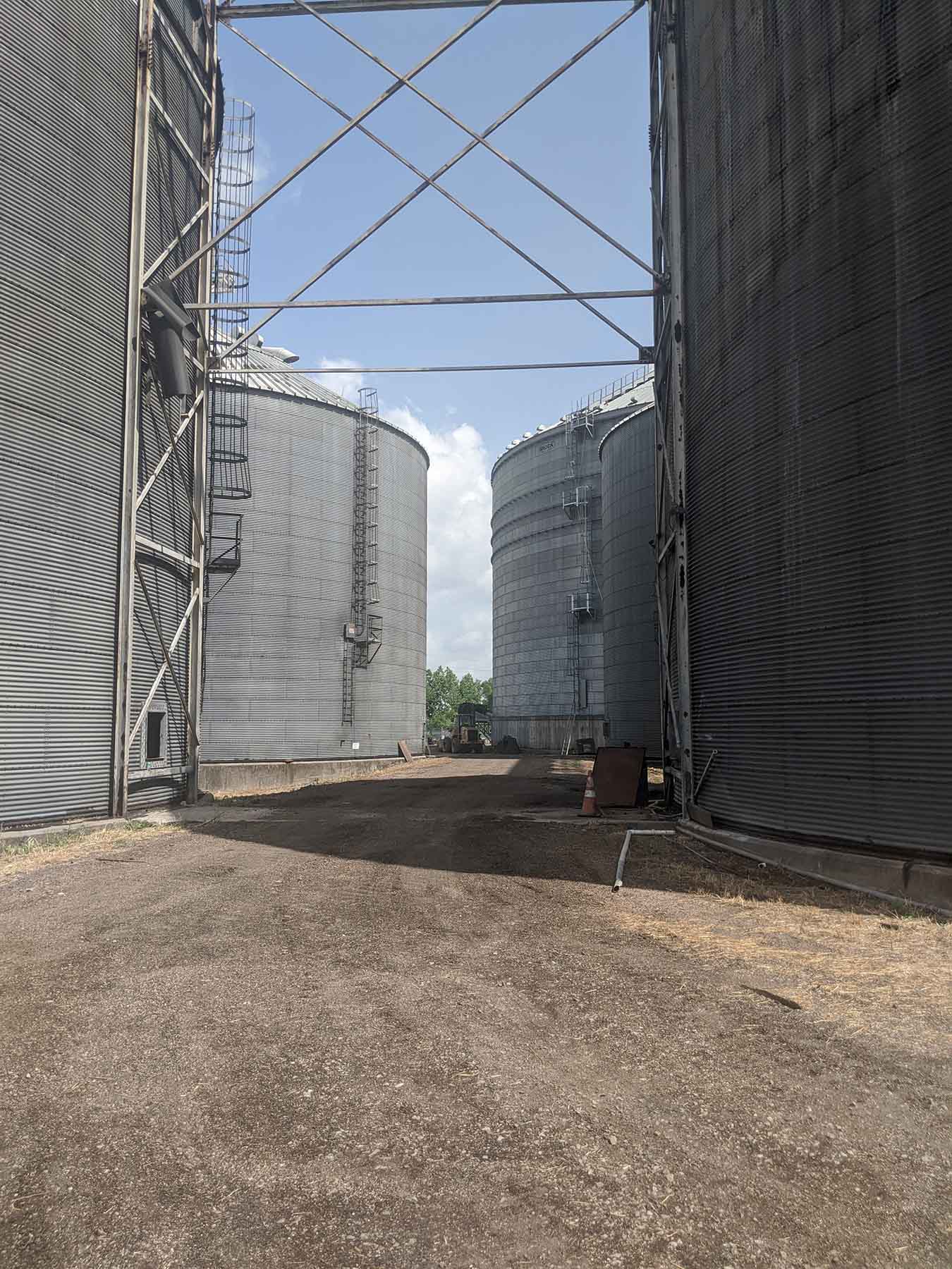 Dyersburg Elevator Co property picture 31 of 42