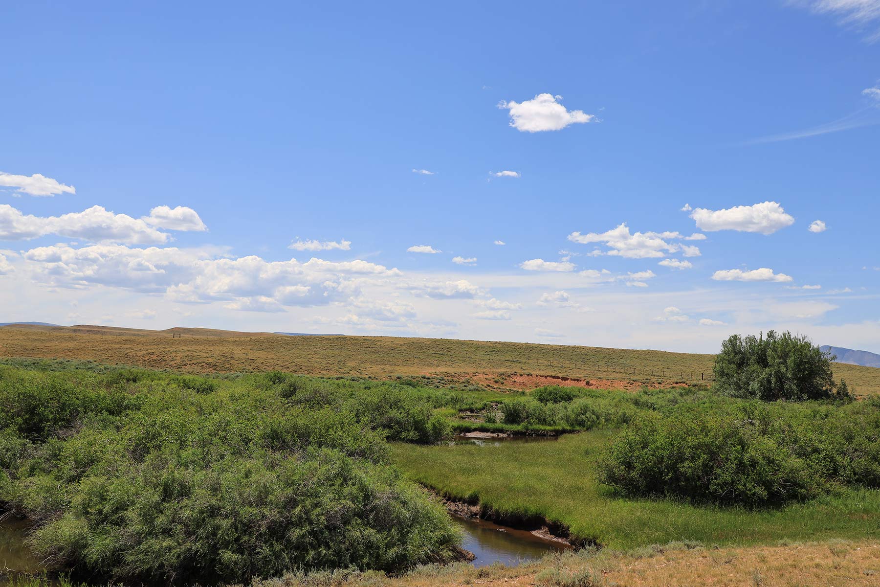 Wooden Shoe Ranch property picture 52 of 55