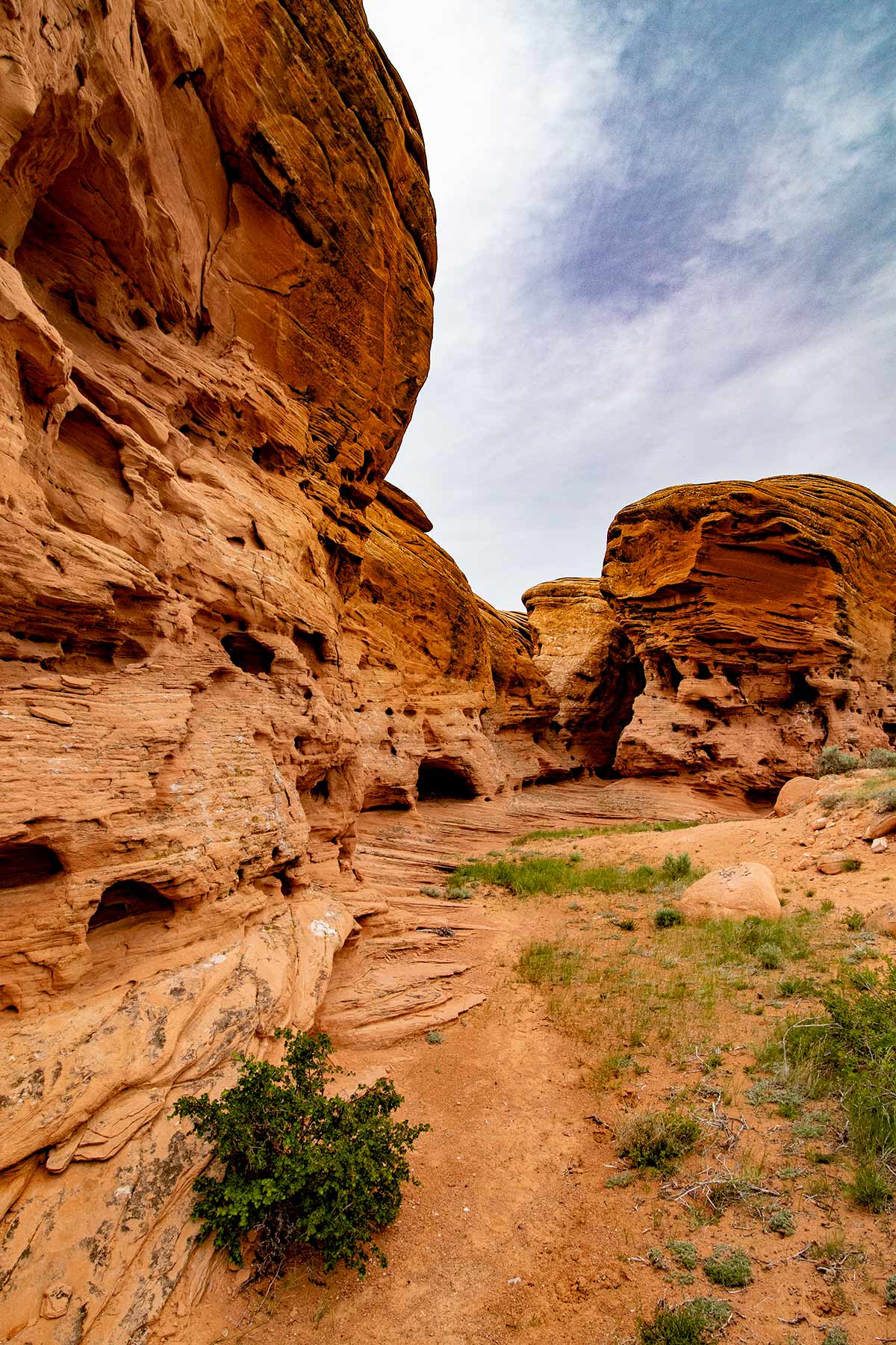 Wooden Shoe Ranch property picture 19 of 55