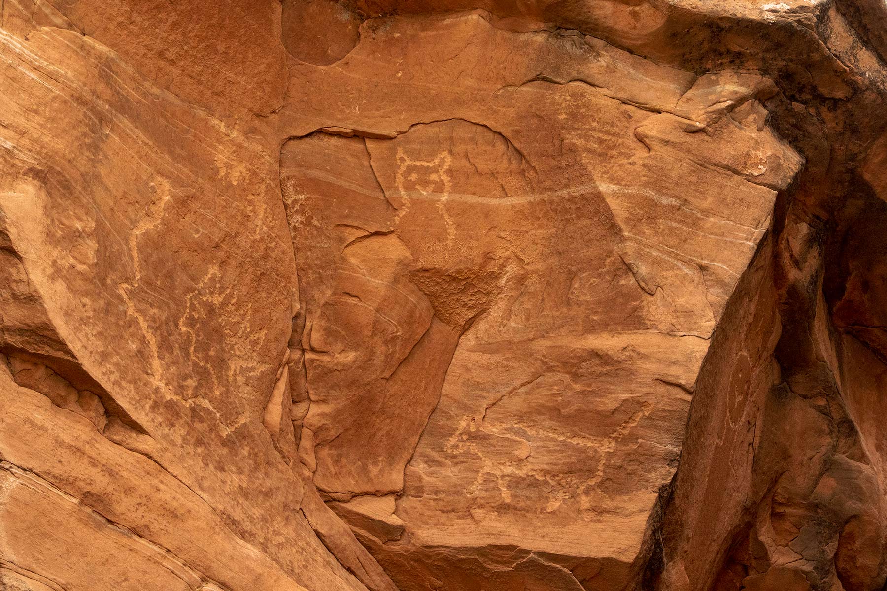 Wooden Shoe Ranch property picture 15 of 55