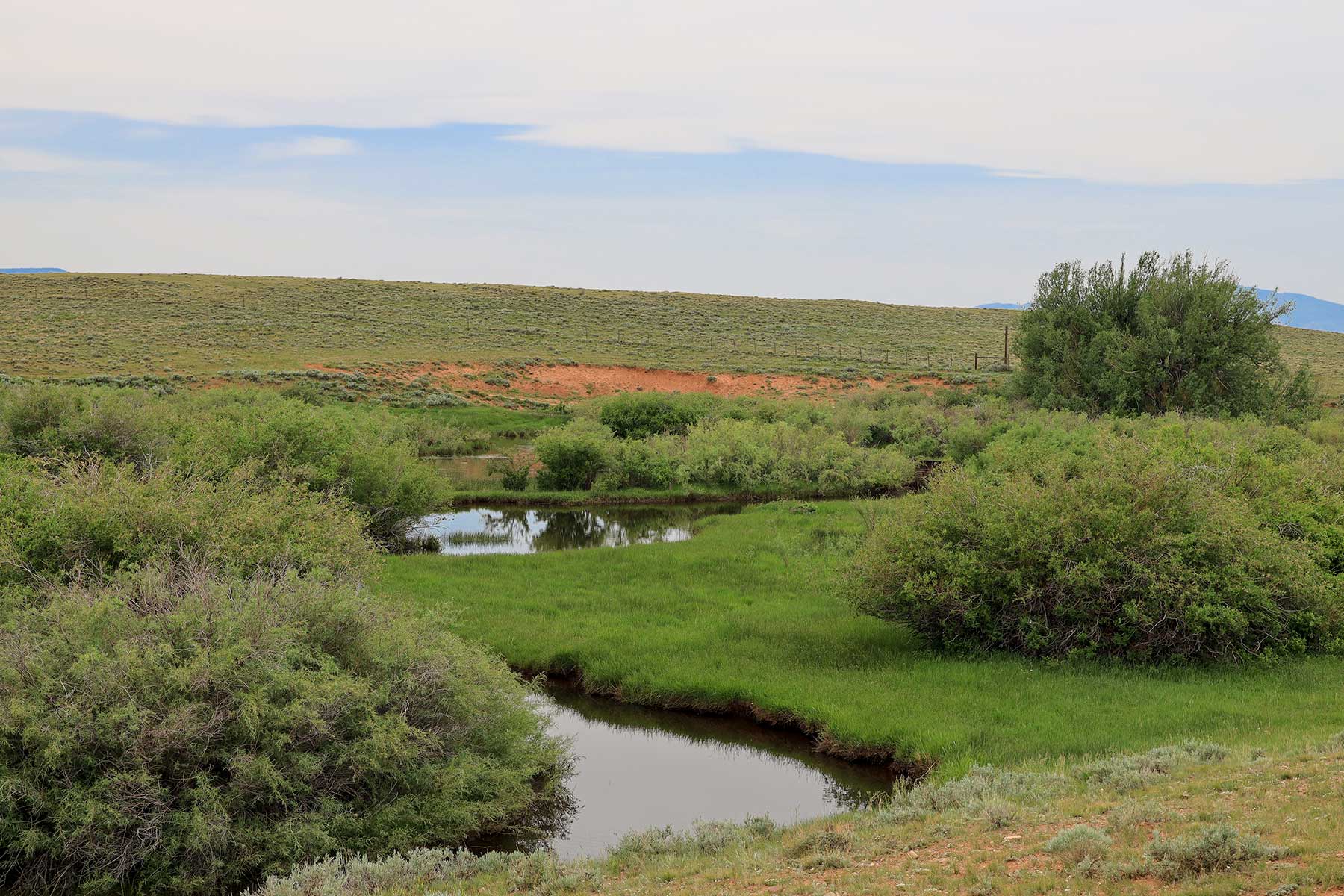 Wooden Shoe Ranch property picture 48 of 55