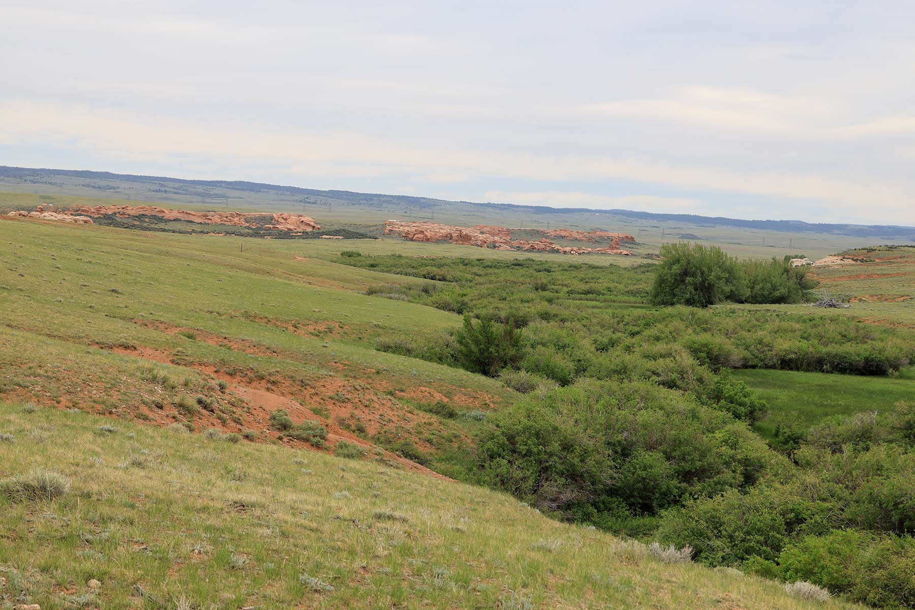 Wooden Shoe Ranch property picture 50 of 55