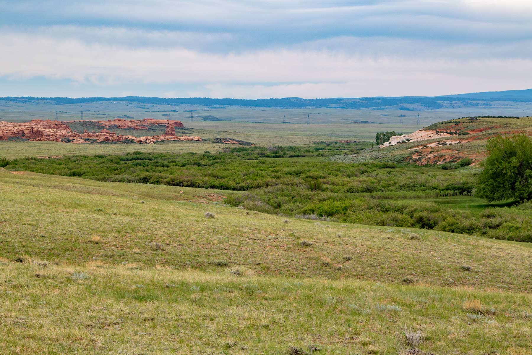 Wooden Shoe Ranch property picture 13 of 55