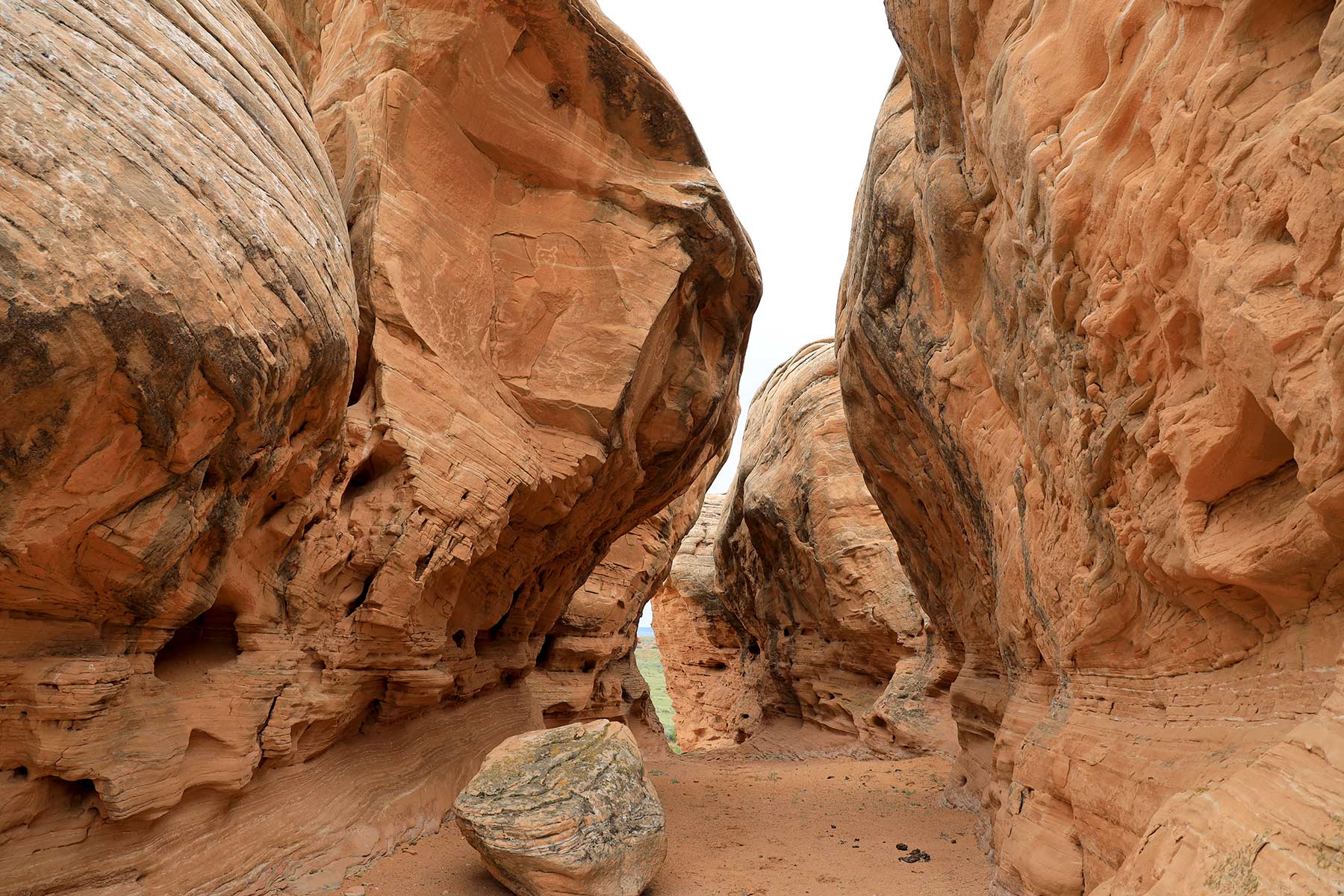 Wooden Shoe Ranch property picture 47 of 55