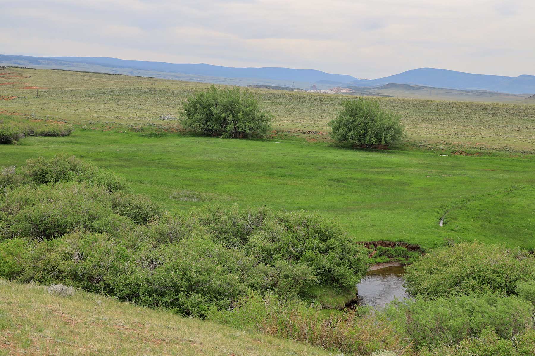 Wooden Shoe Ranch property picture 49 of 55