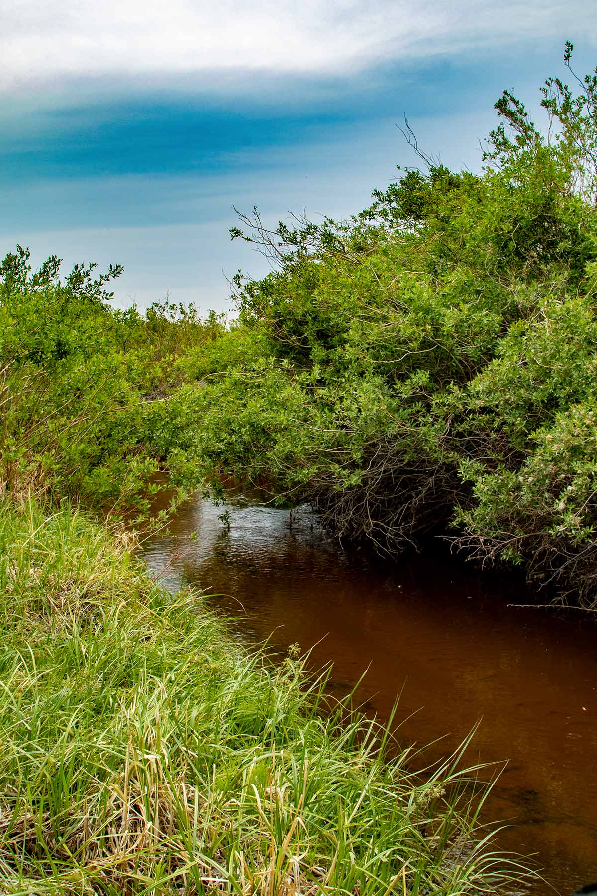 Wooden Shoe Ranch property picture 9 of 55
