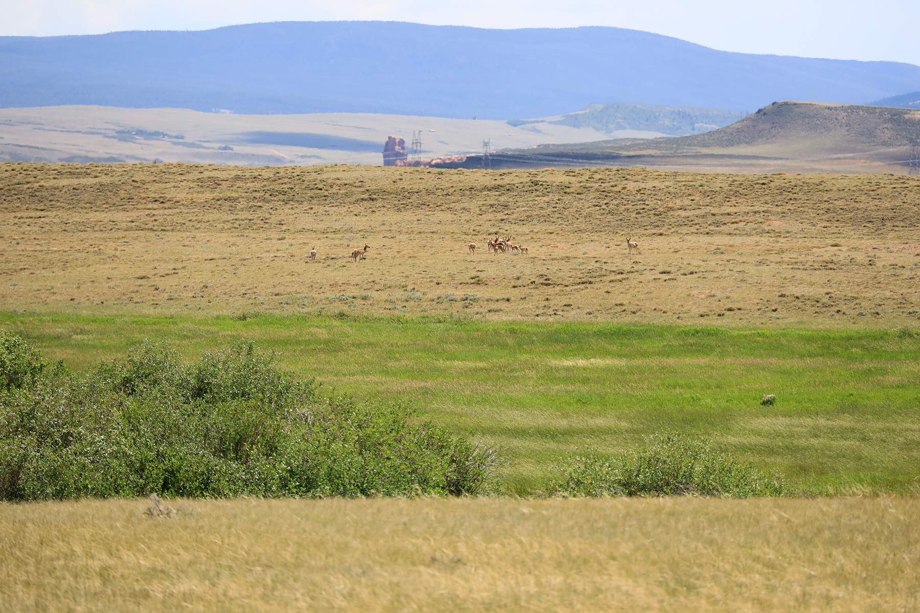 Wooden Shoe Ranch property picture 53 of 55