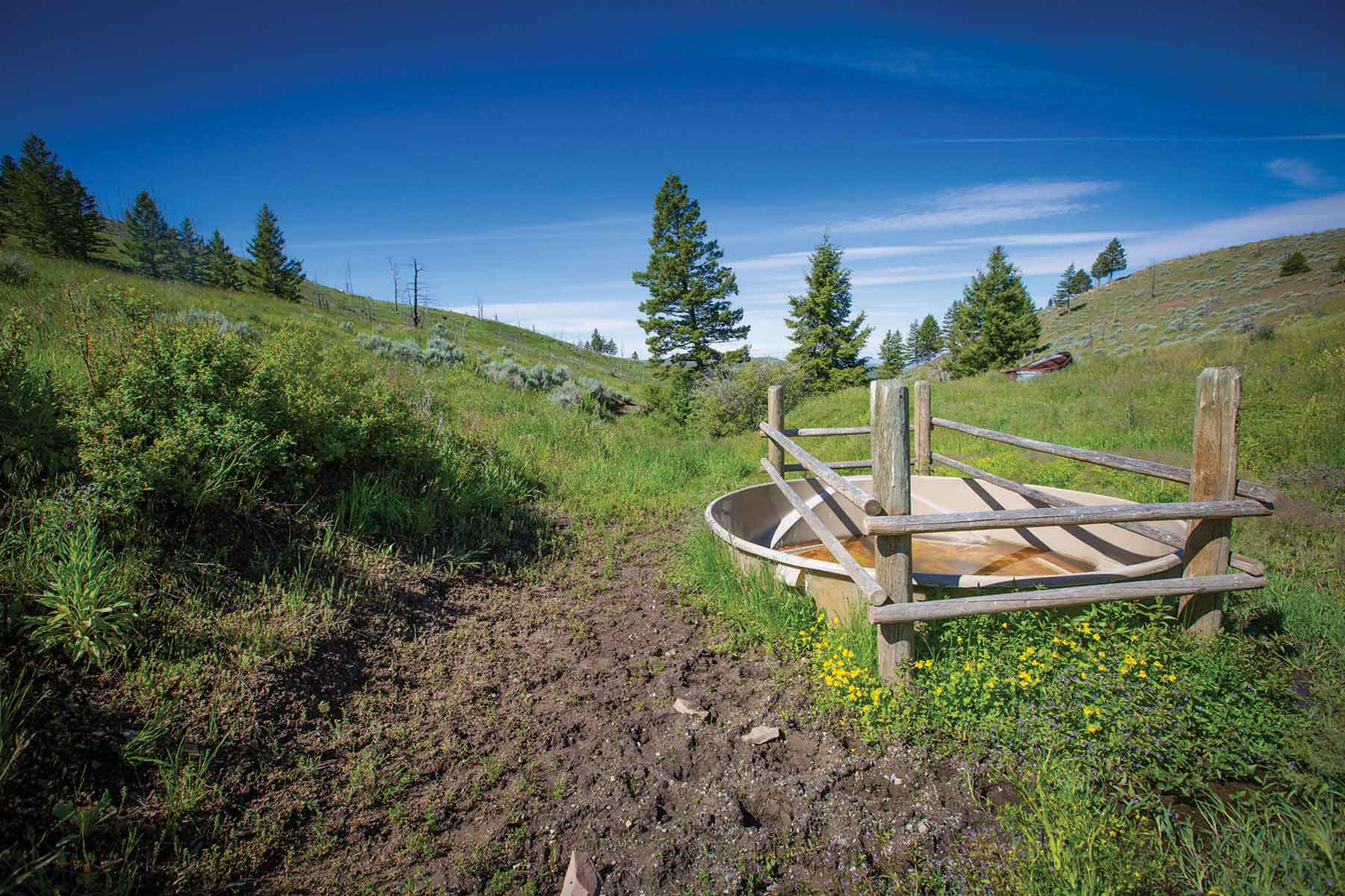 Upper Greyson Creek Ranch property picture 65 of 69