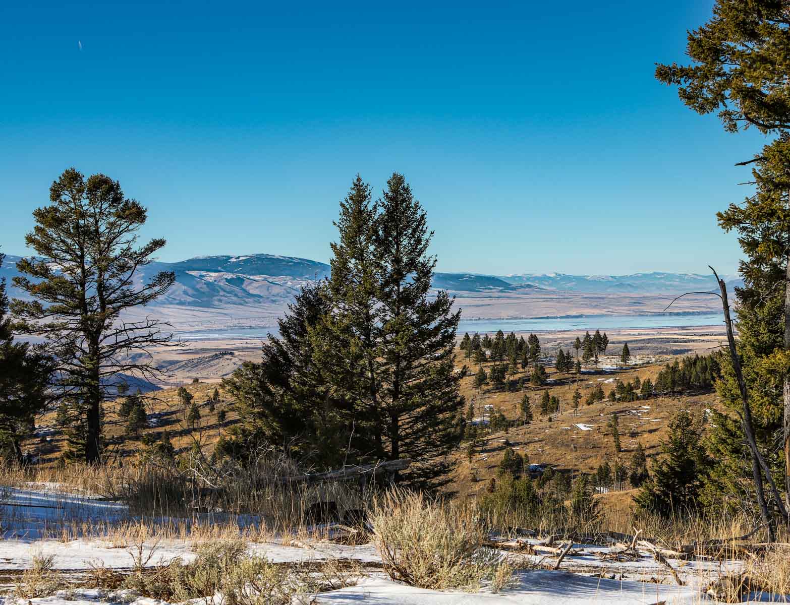 Upper Greyson Creek Ranch property picture 68 of 69