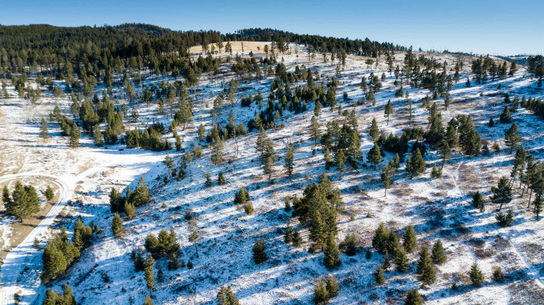 Upper Greyson Creek Ranch property picture 8 of 69