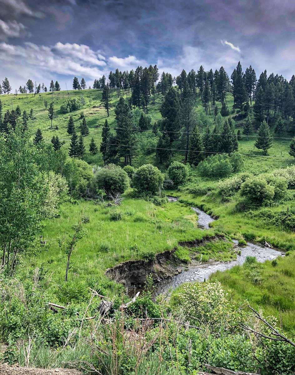 Upper Greyson Creek Ranch property picture 18 of 69