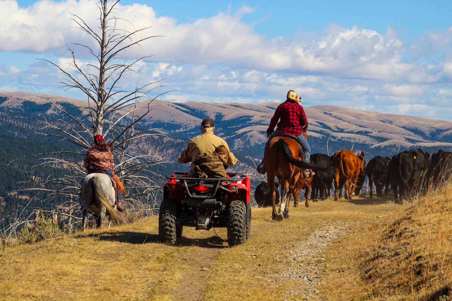 Upper Greyson Creek Ranch property picture 26 of 69