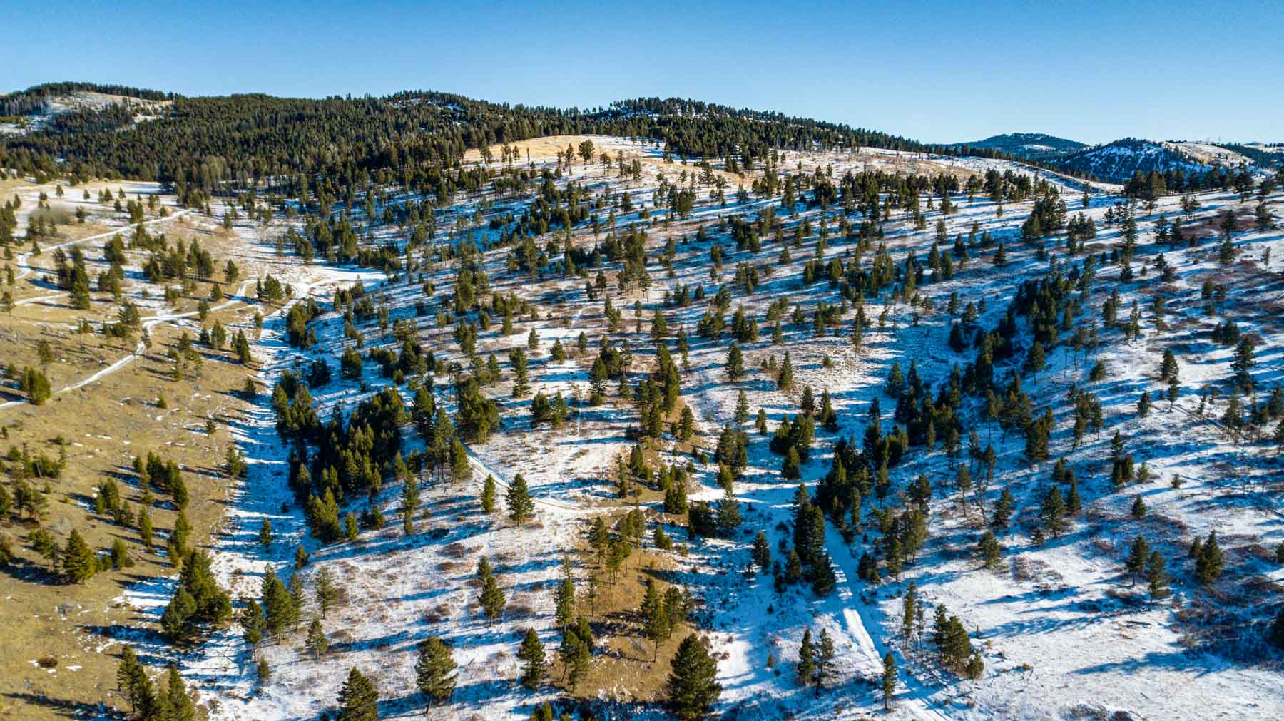 Upper Greyson Creek Ranch property picture 9 of 69