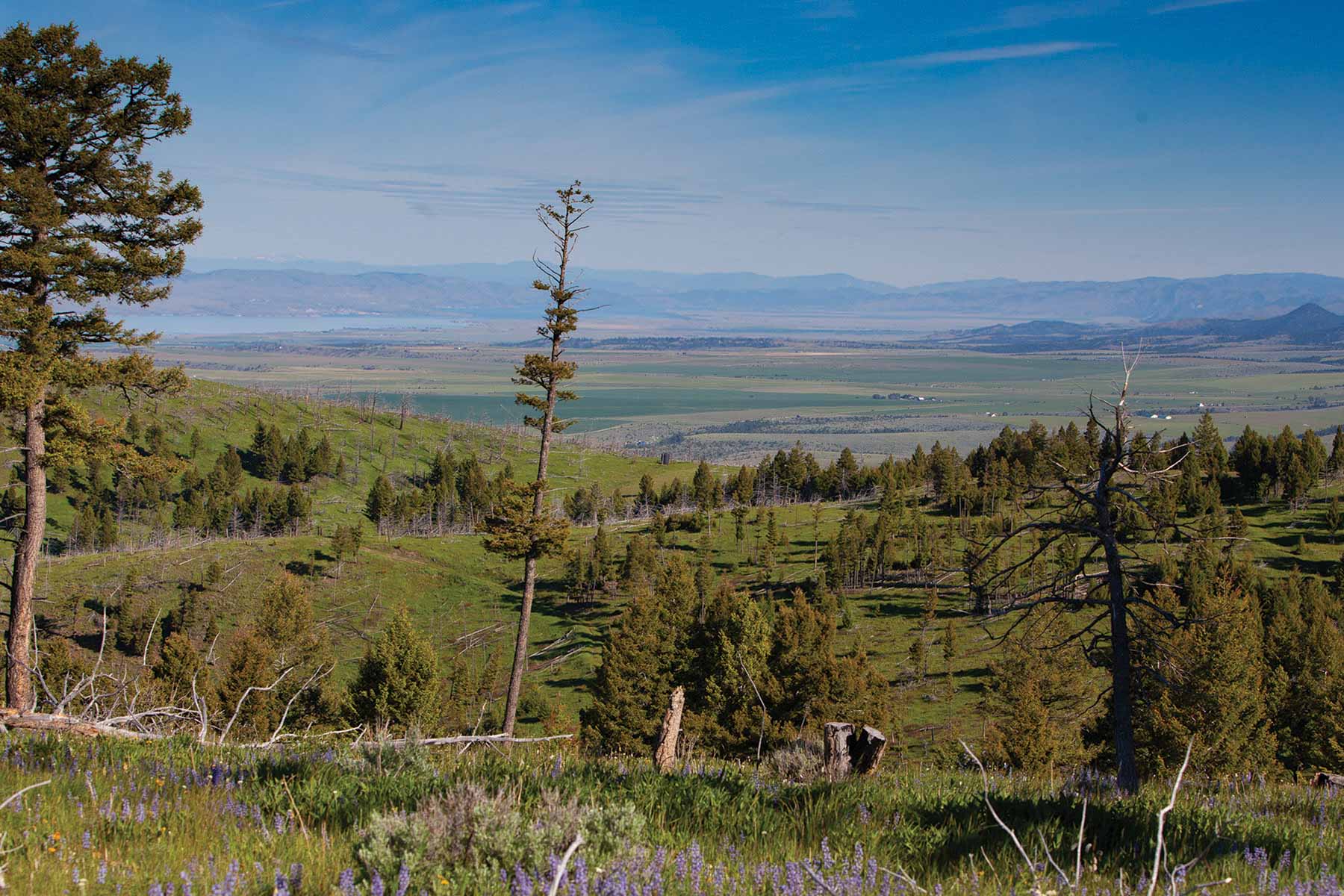 Upper Greyson Creek Ranch property picture 60 of 69