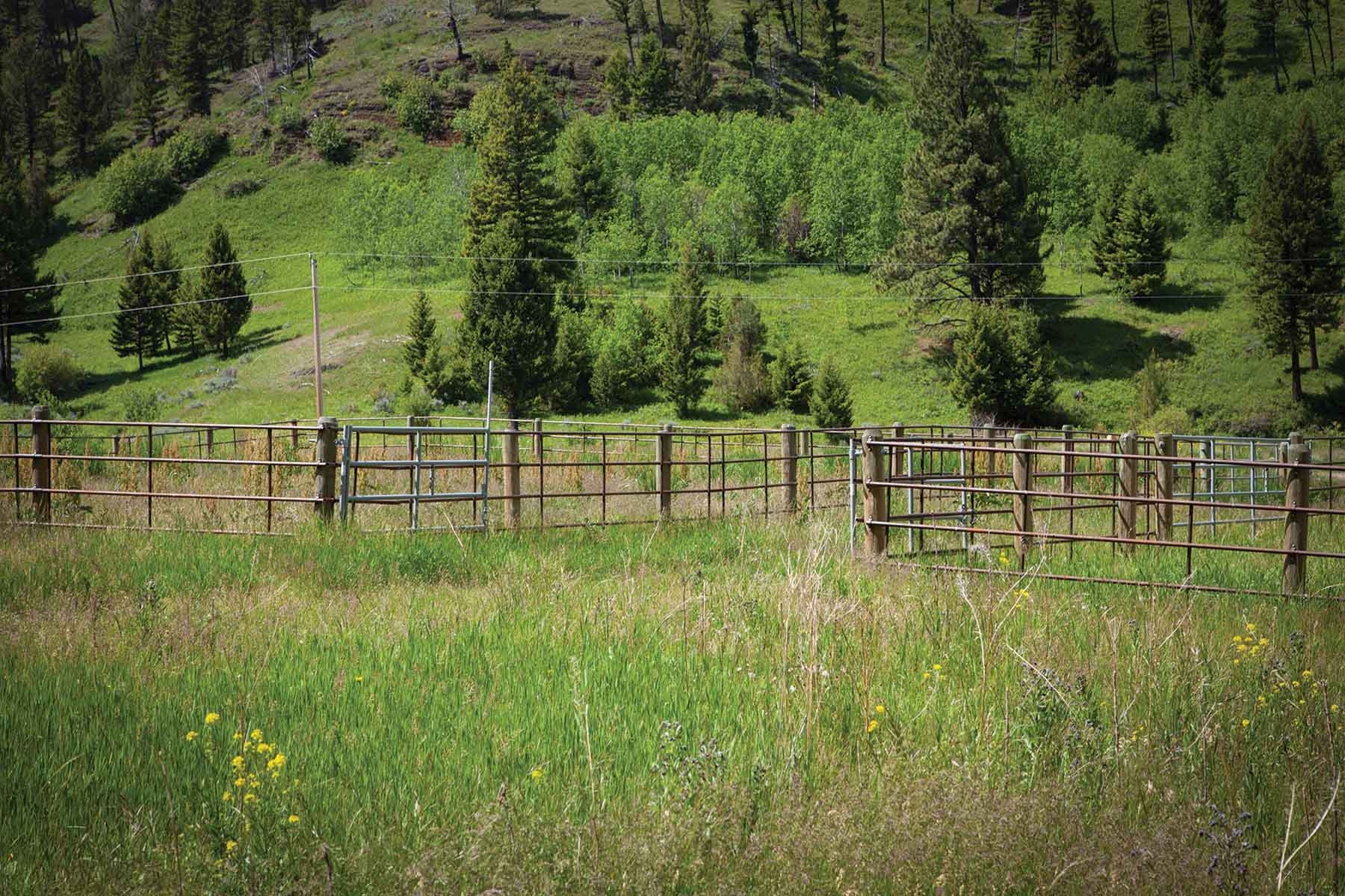 Upper Greyson Creek Ranch property picture 67 of 69