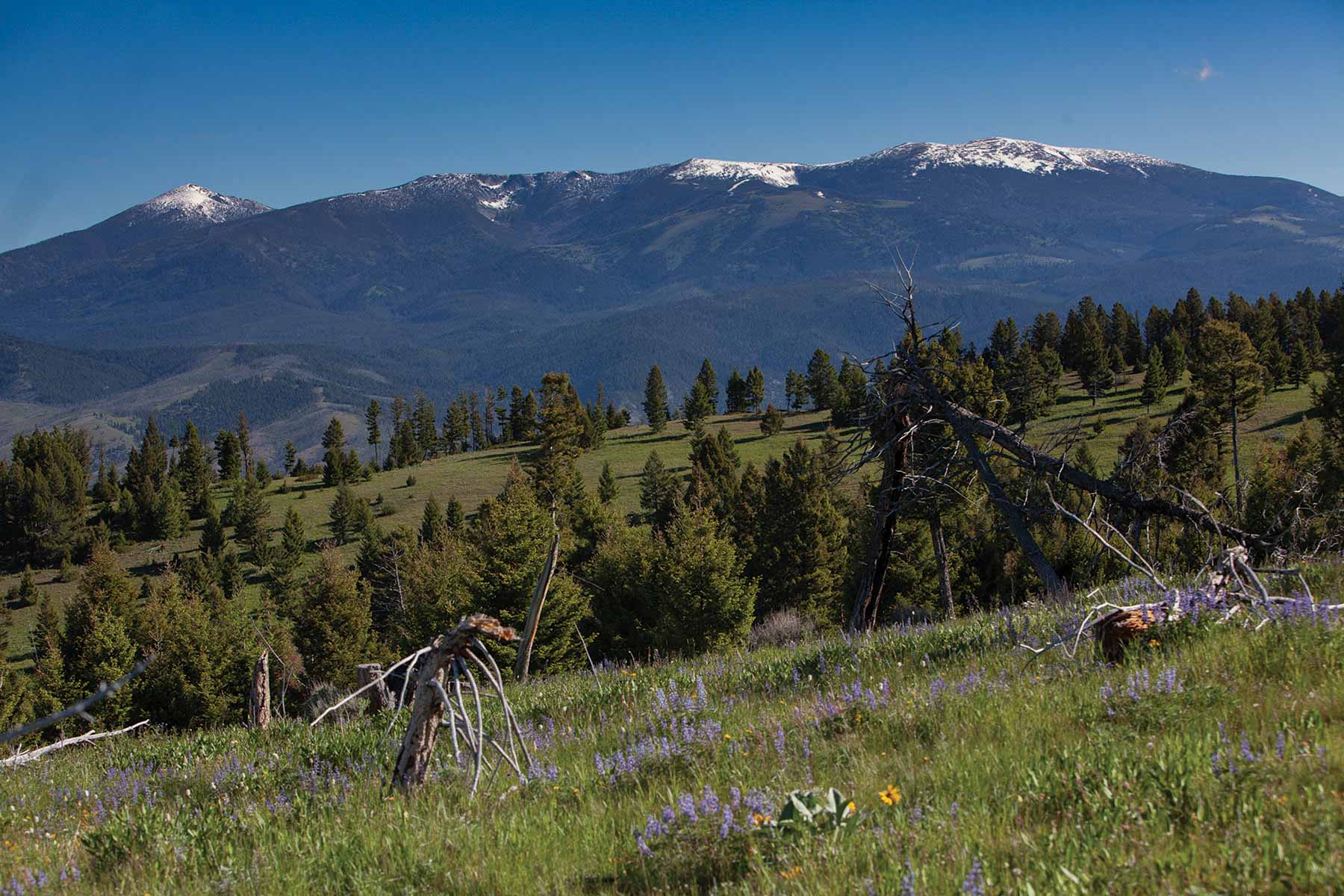 Upper Greyson Creek Ranch property picture 62 of 69