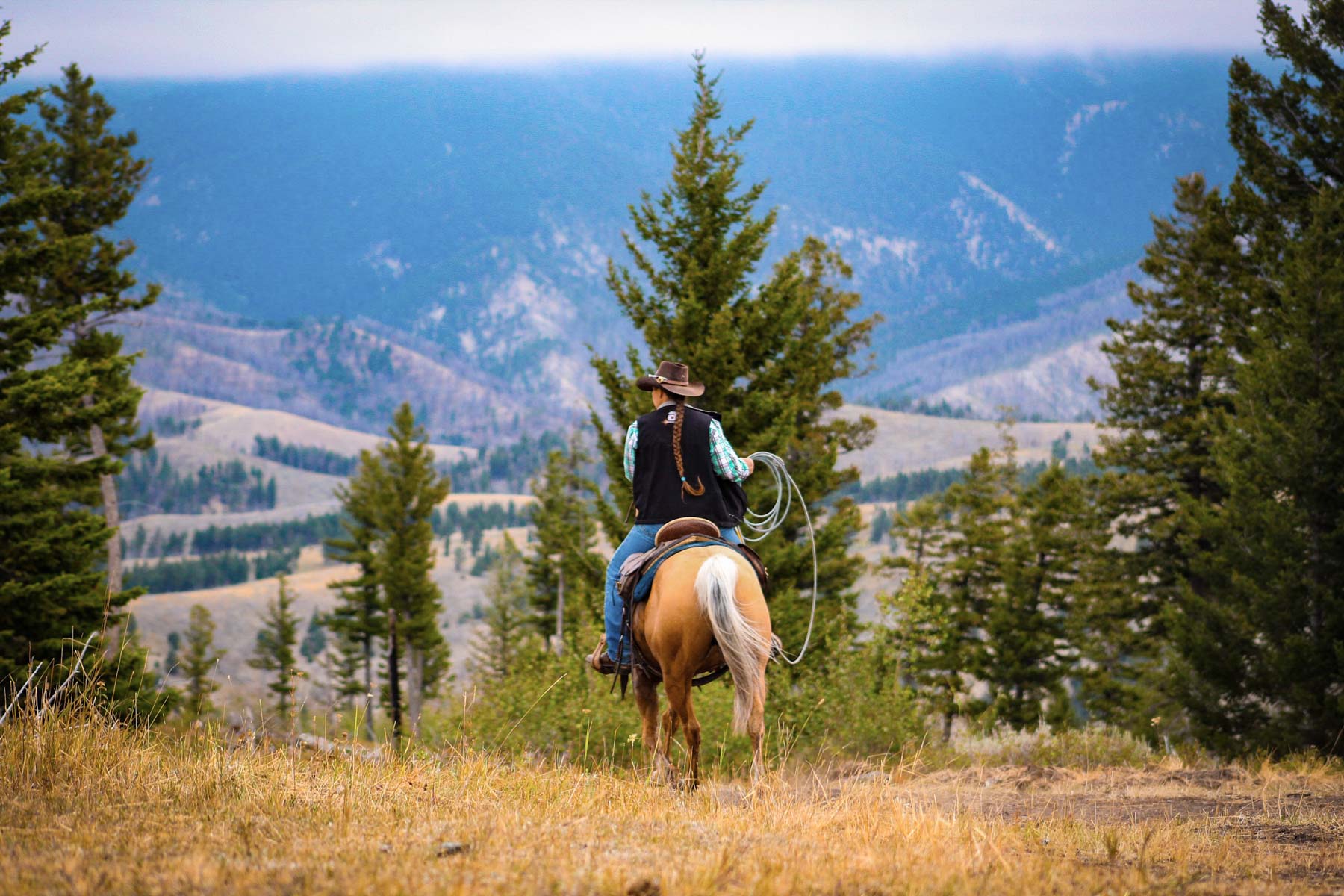 Upper Greyson Creek Ranch property picture 19 of 69