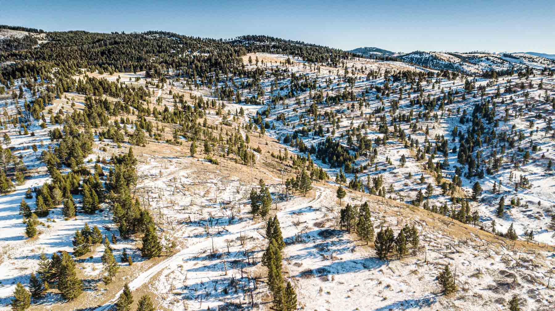 Upper Greyson Creek Ranch property picture 7 of 69