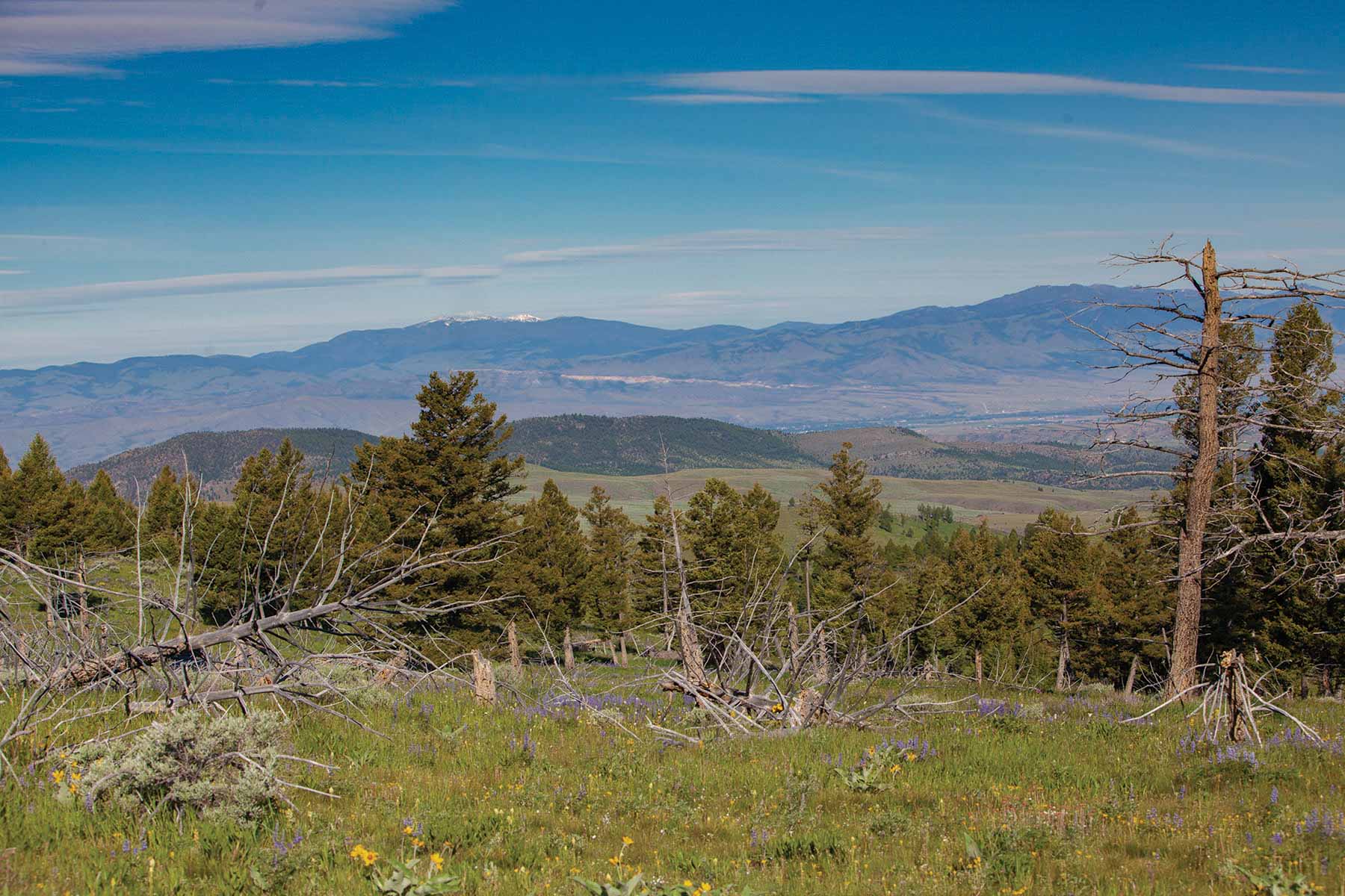 Upper Greyson Creek Ranch property picture 61 of 69