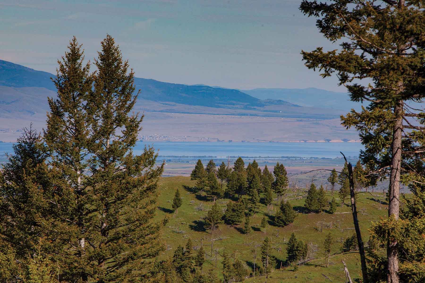 Upper Greyson Creek Ranch property picture 59 of 69