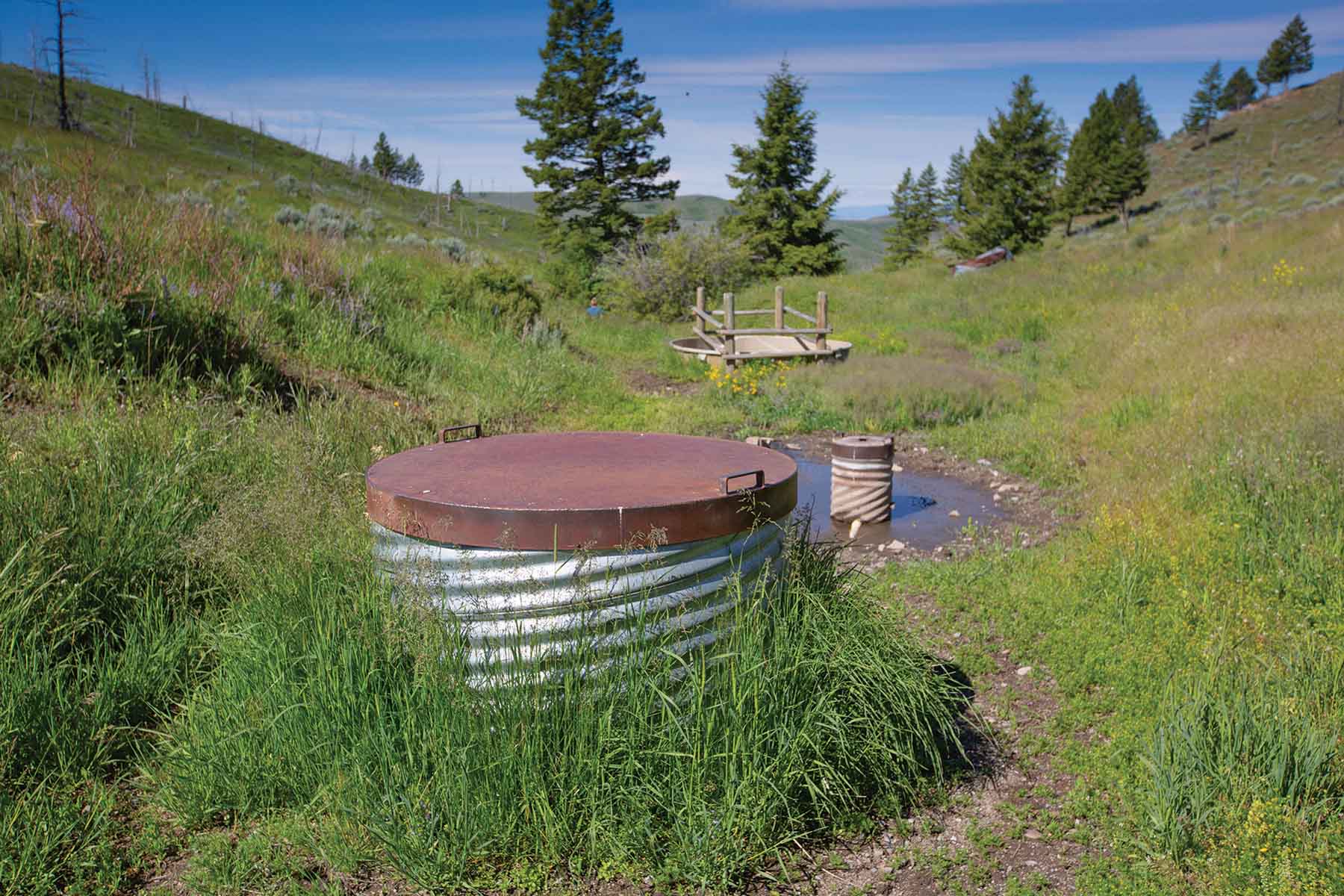 Upper Greyson Creek Ranch property picture 64 of 69