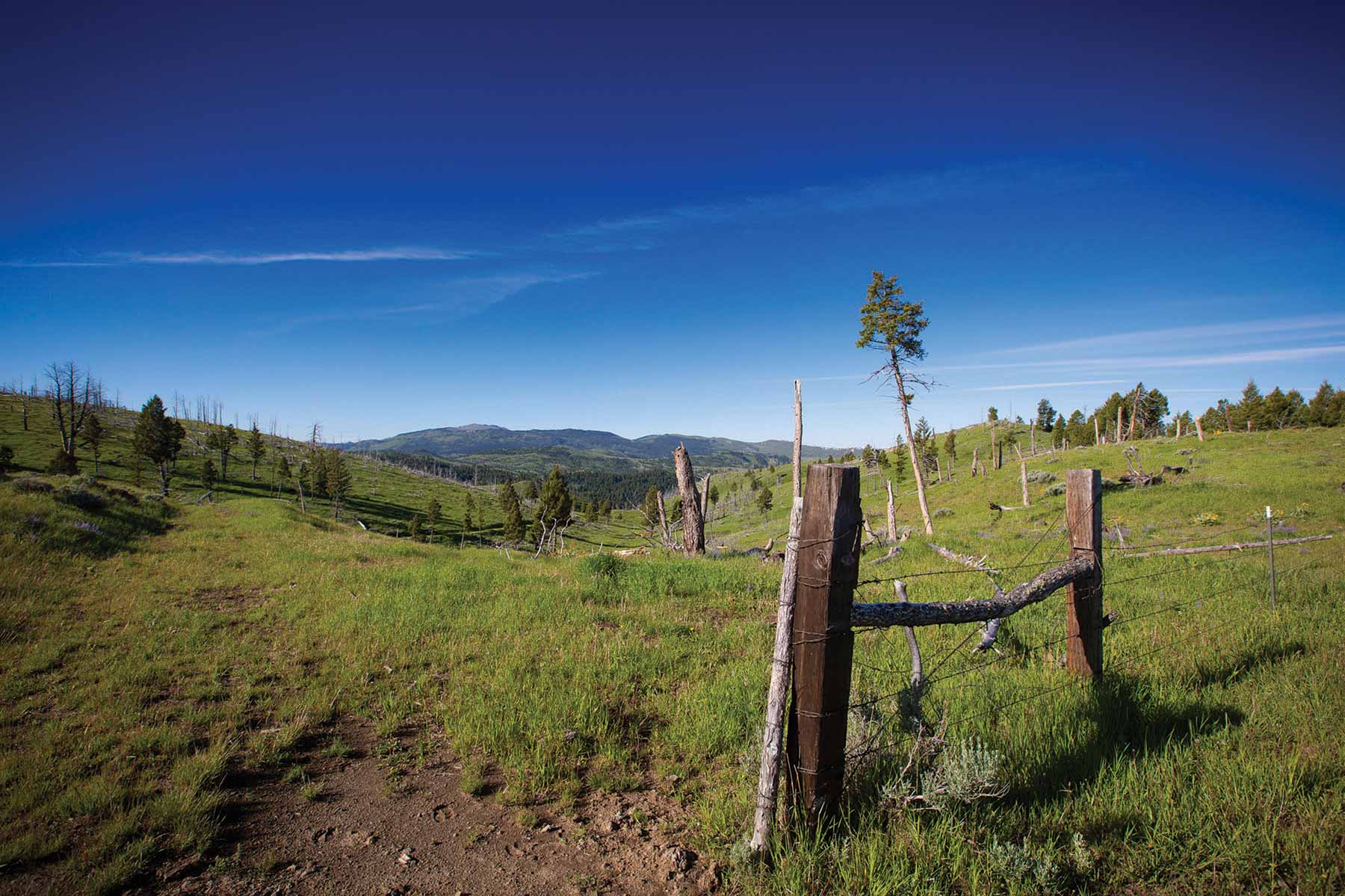 Upper Greyson Creek Ranch property picture 57 of 69