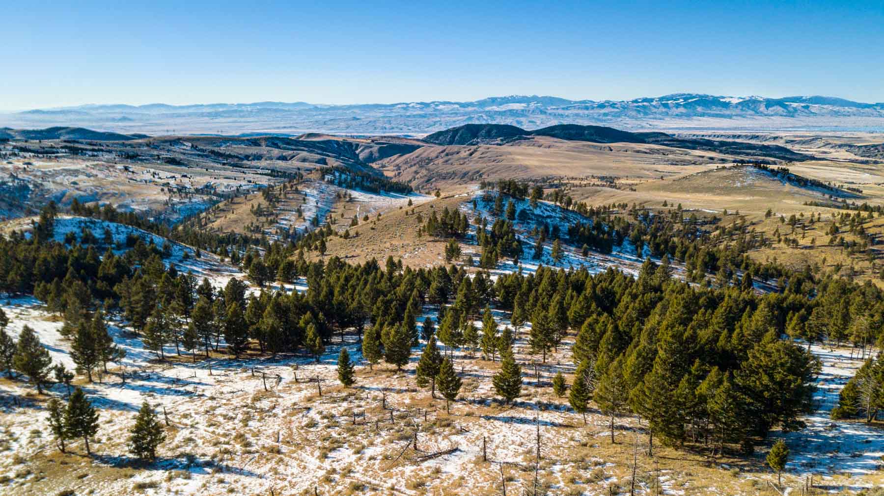 Upper Greyson Creek Ranch property picture 13 of 69