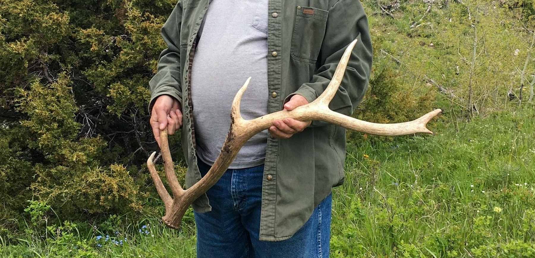 Upper Greyson Creek Ranch property picture 27 of 69