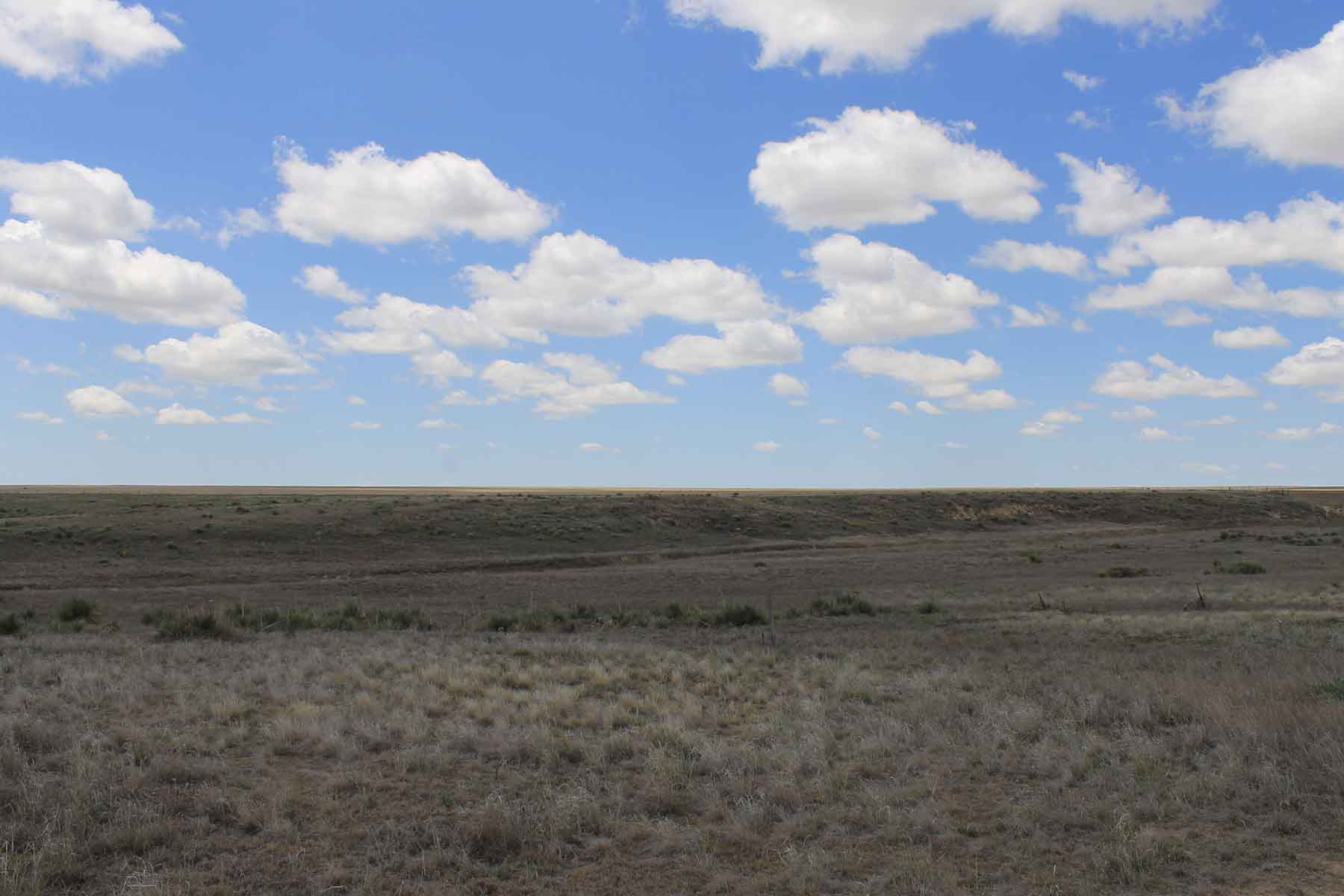 Prowers County Land Auction property picture 21 of 22