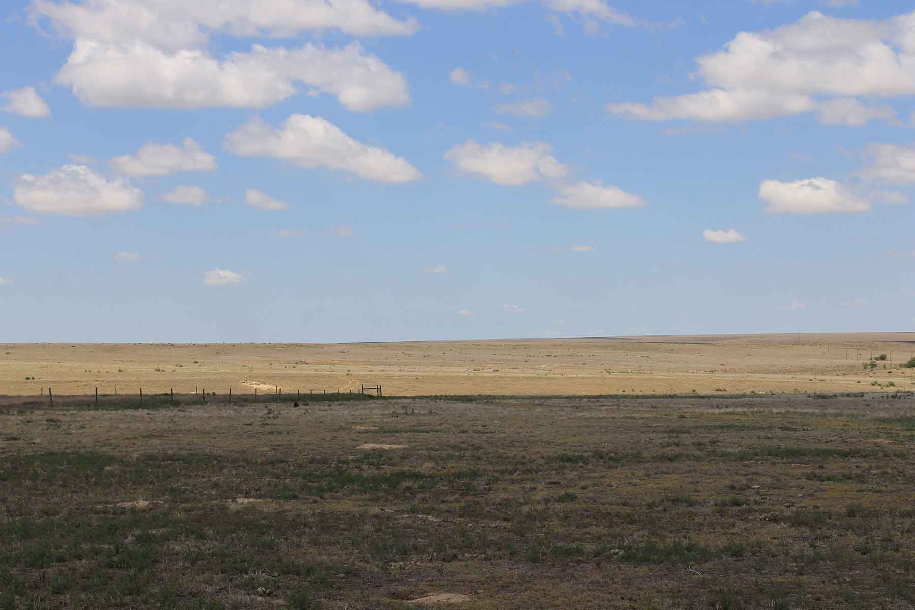 Prowers County Land Auction property picture 14 of 22