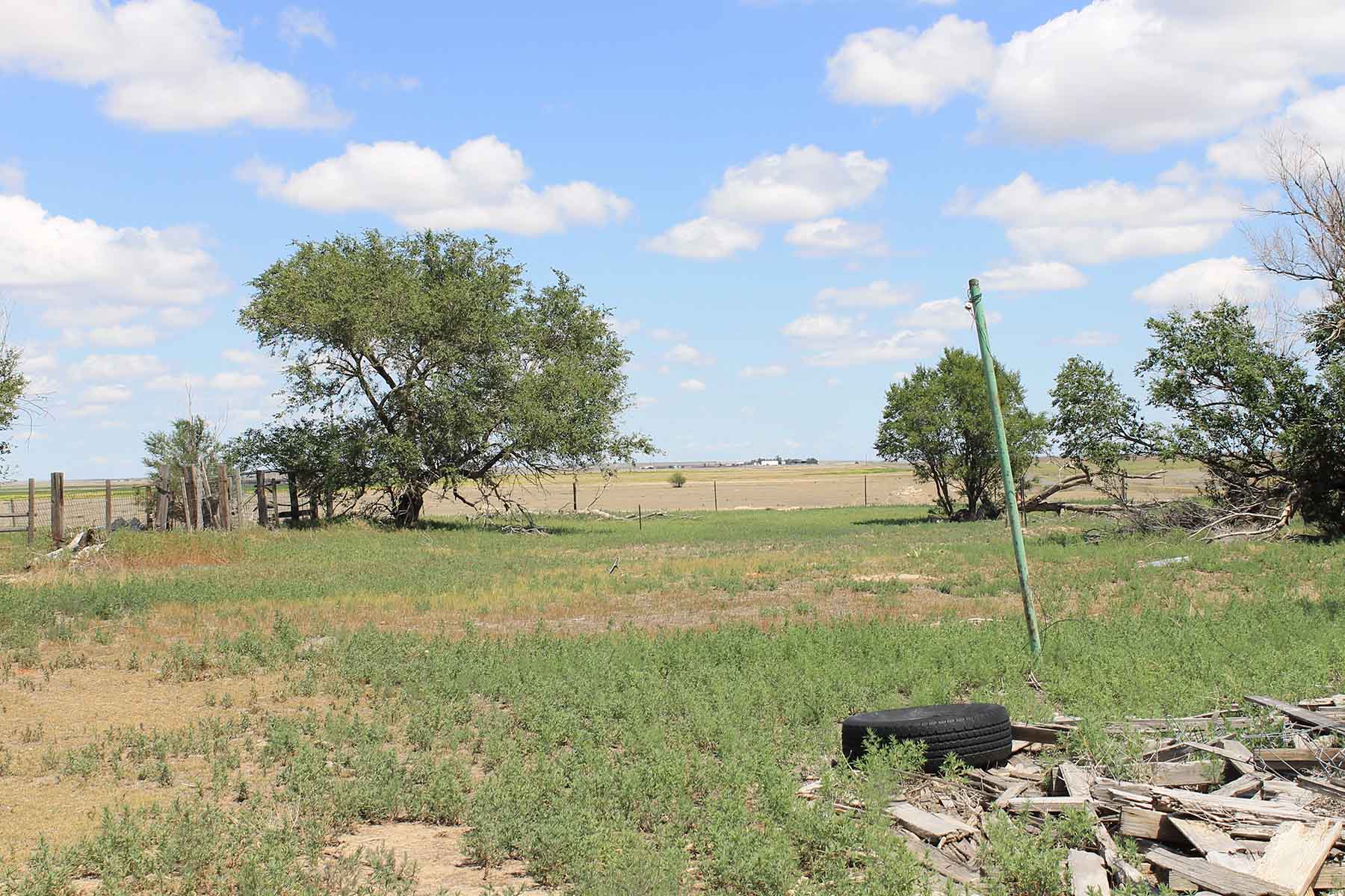 Prowers County Land Auction property picture 12 of 22