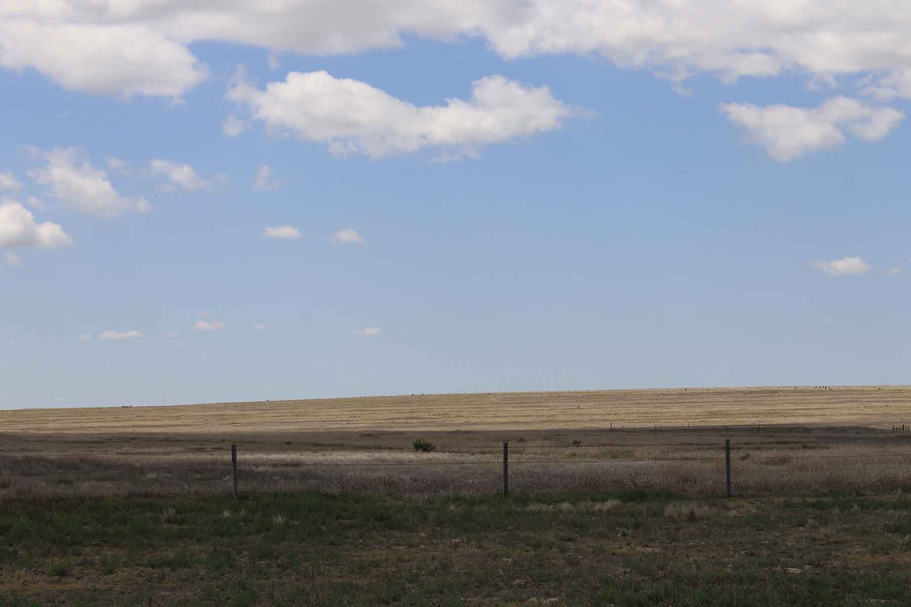 Prowers County Land Auction property picture 15 of 22