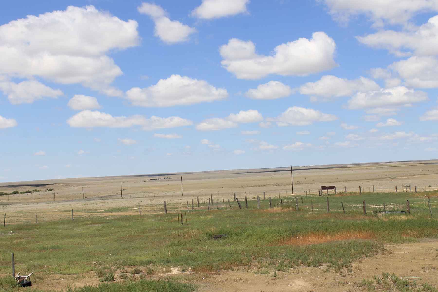 Prowers County Land Auction property picture 4 of 22