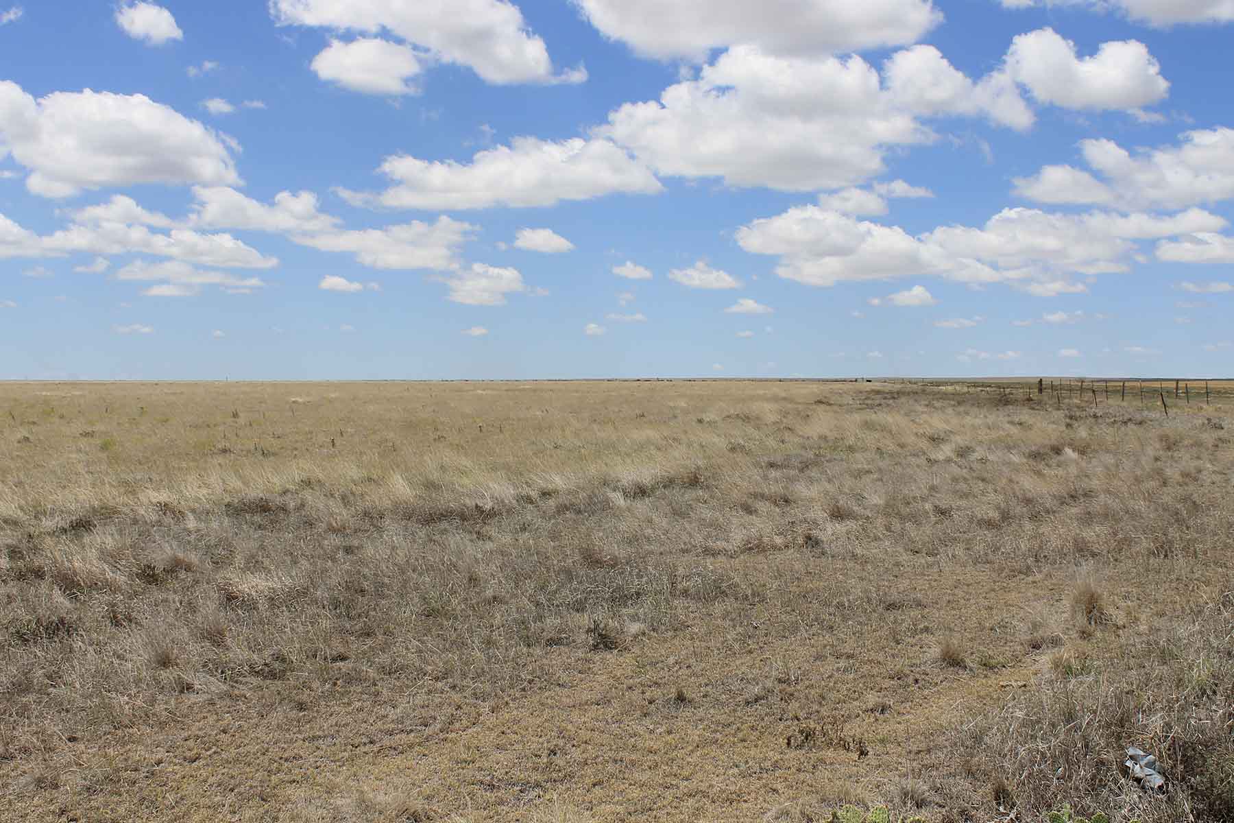 Prowers County Land Auction property picture 3 of 22