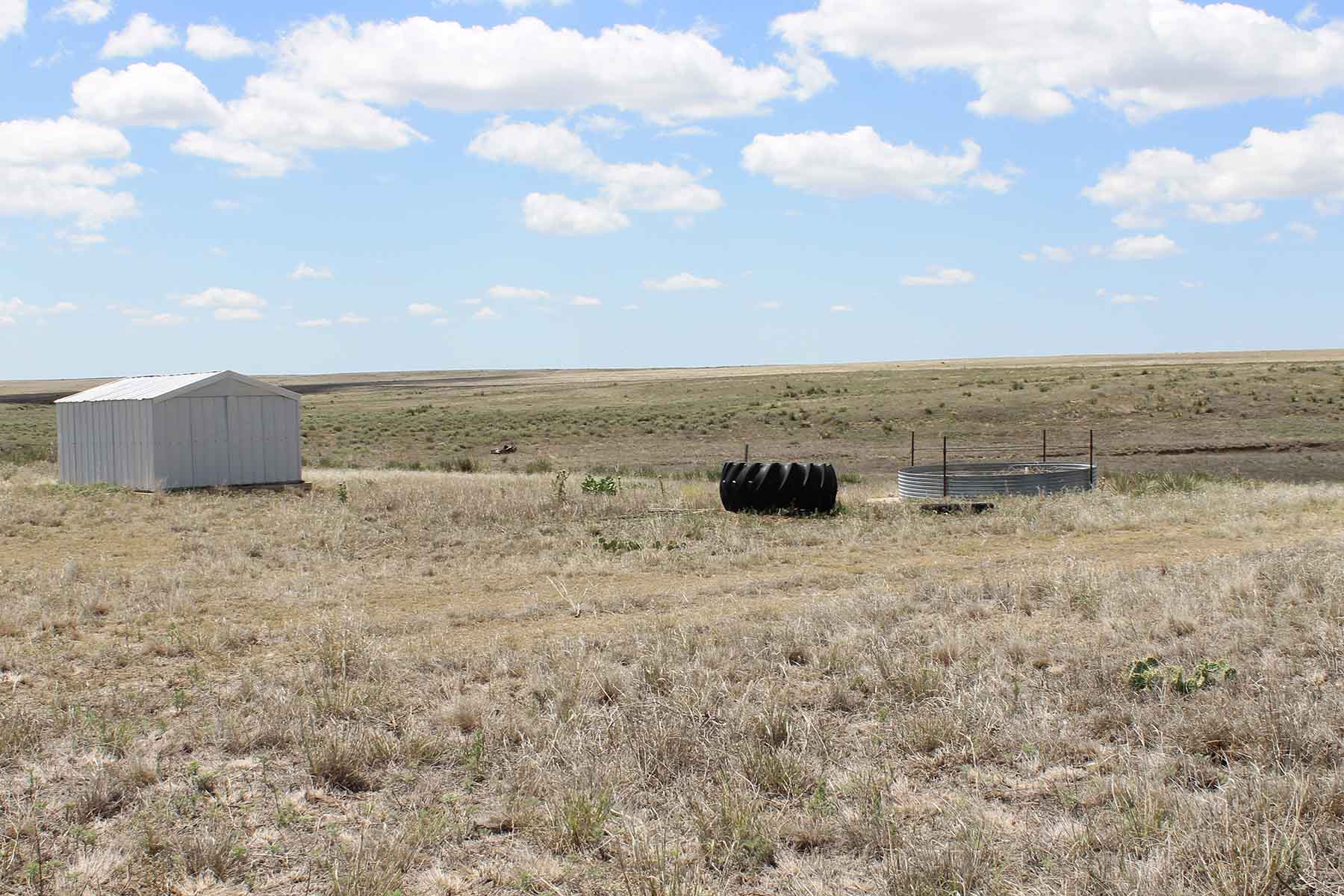 Prowers County Land Auction property picture 18 of 22