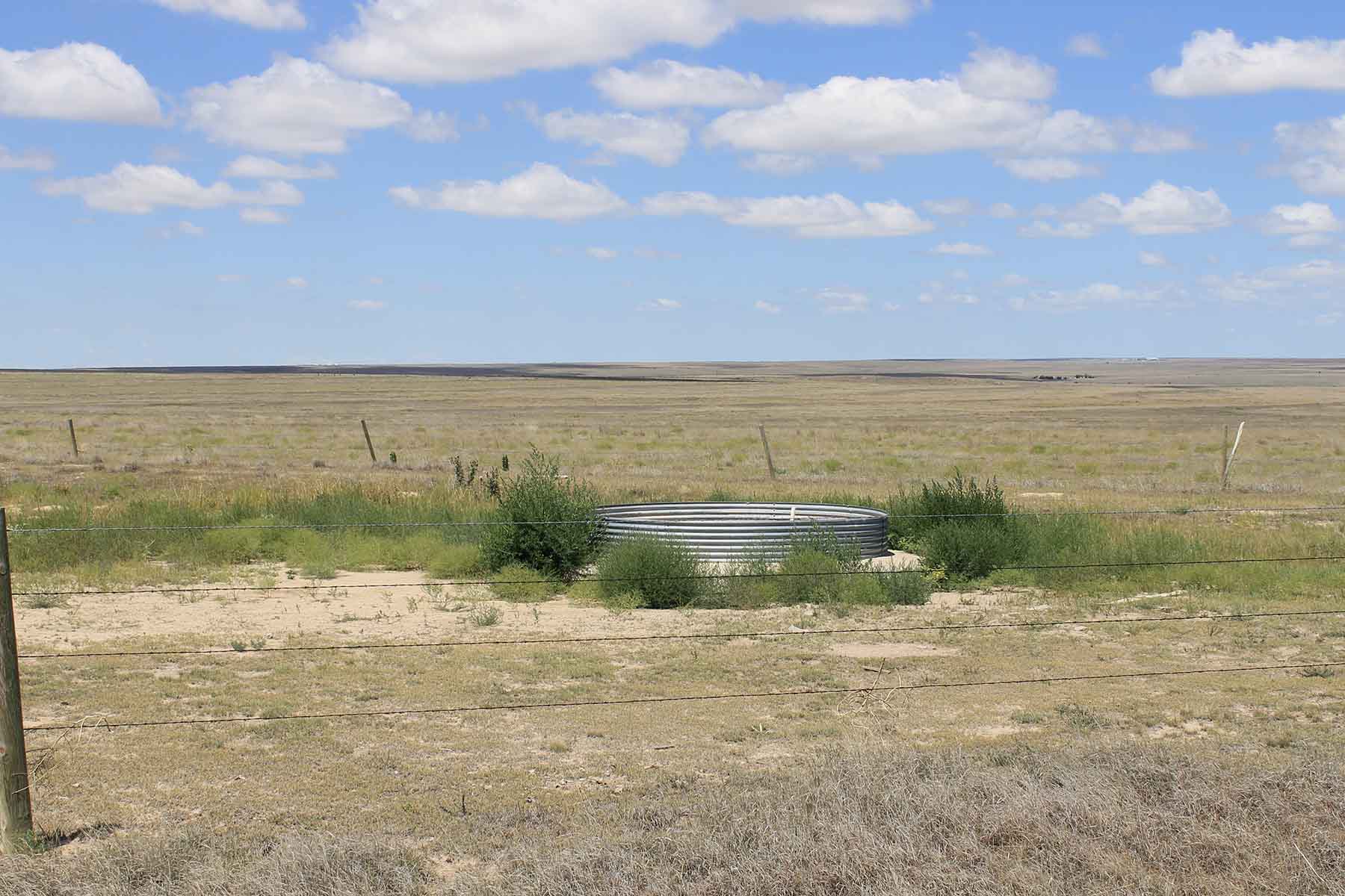 Prowers County Land Auction property picture 5 of 22