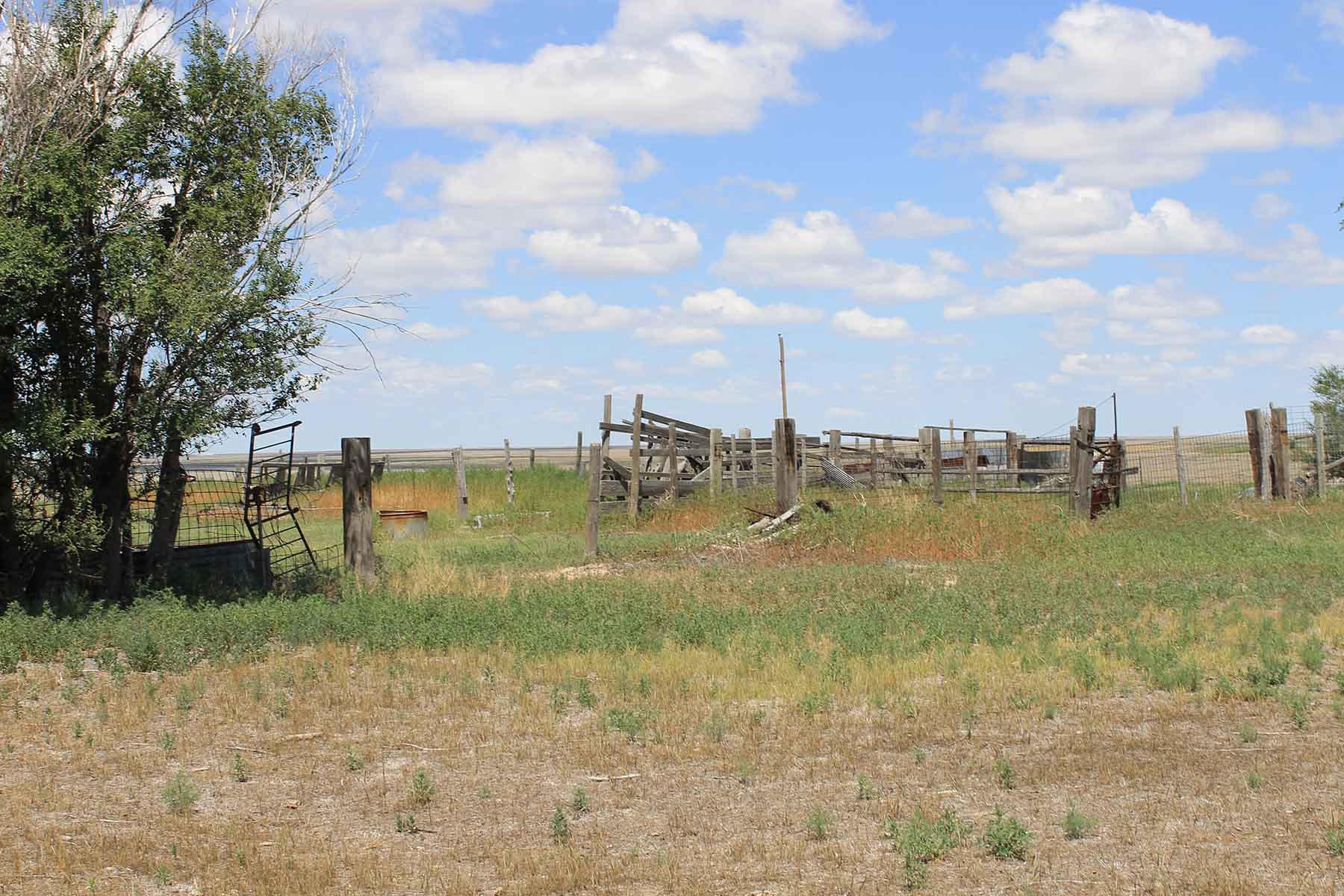 Prowers County Land Auction property picture 13 of 22