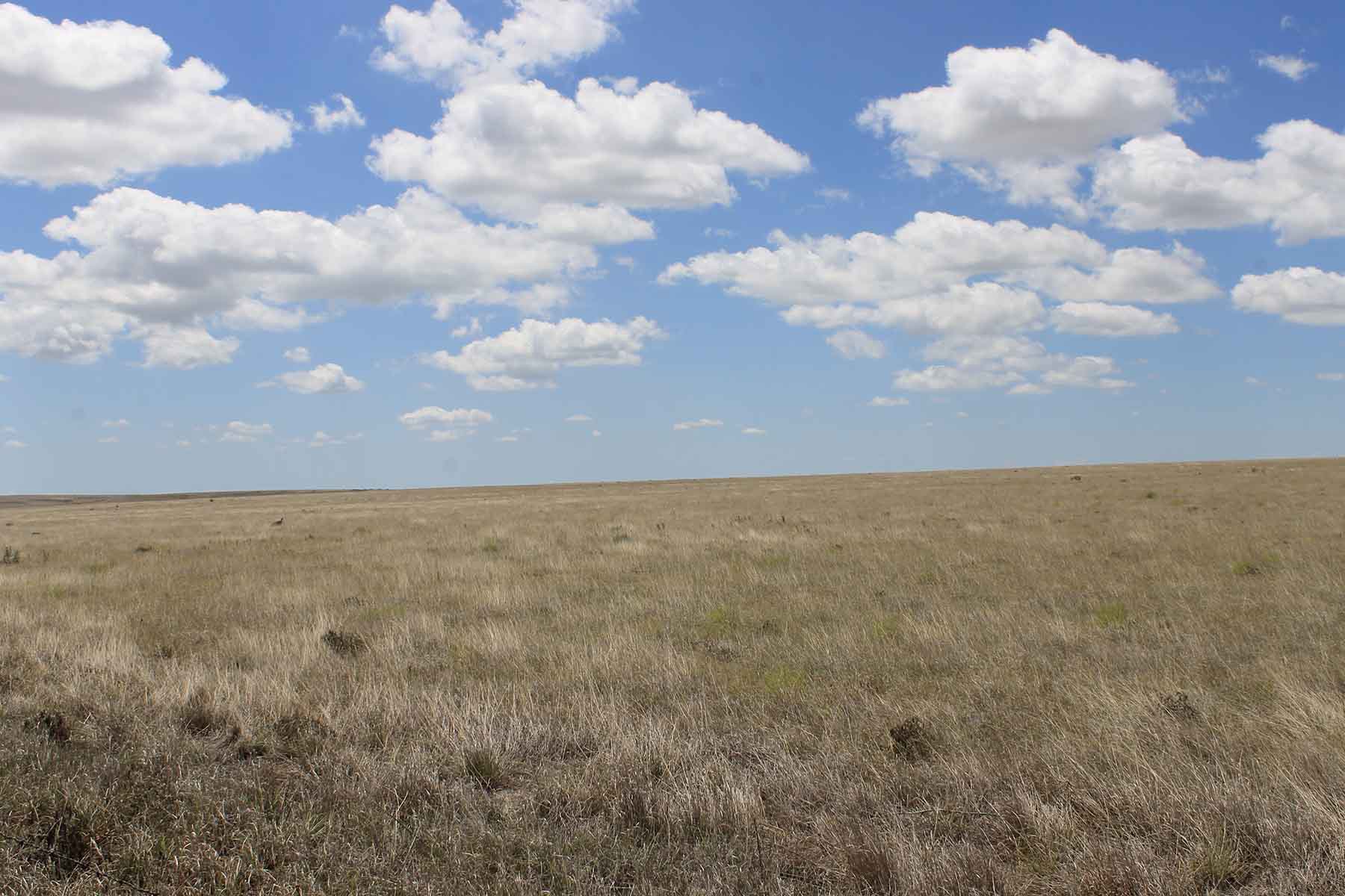 Prowers County Land Auction property picture 22 of 22