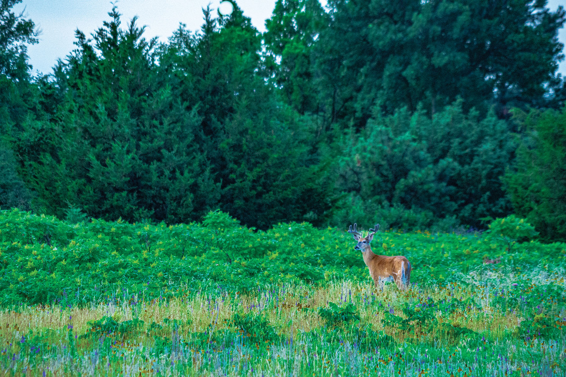 Arrowsmith Niobrara River Ranch property picture 4 of 120